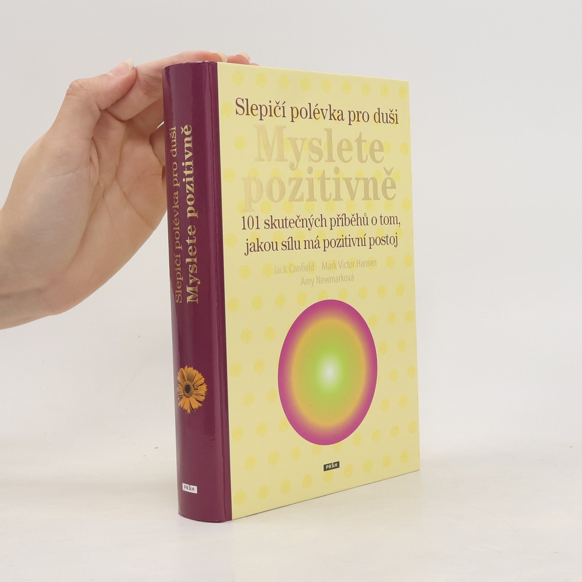 Amy Newmark Slepičí polévka pro duši: Myslete pozitivně