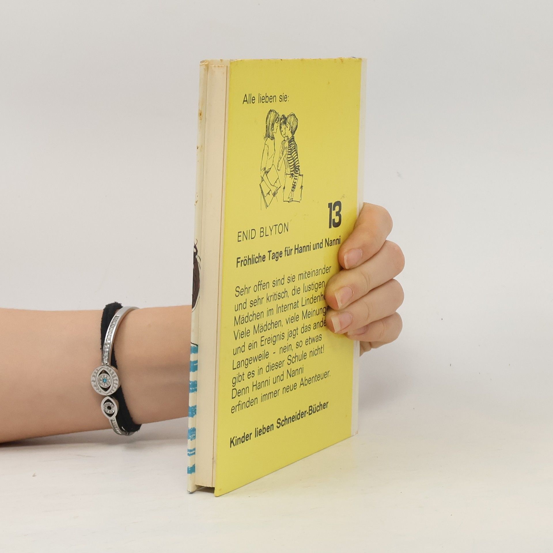 Enid Blyton Fröhliche Tage für Hanni und Nanni