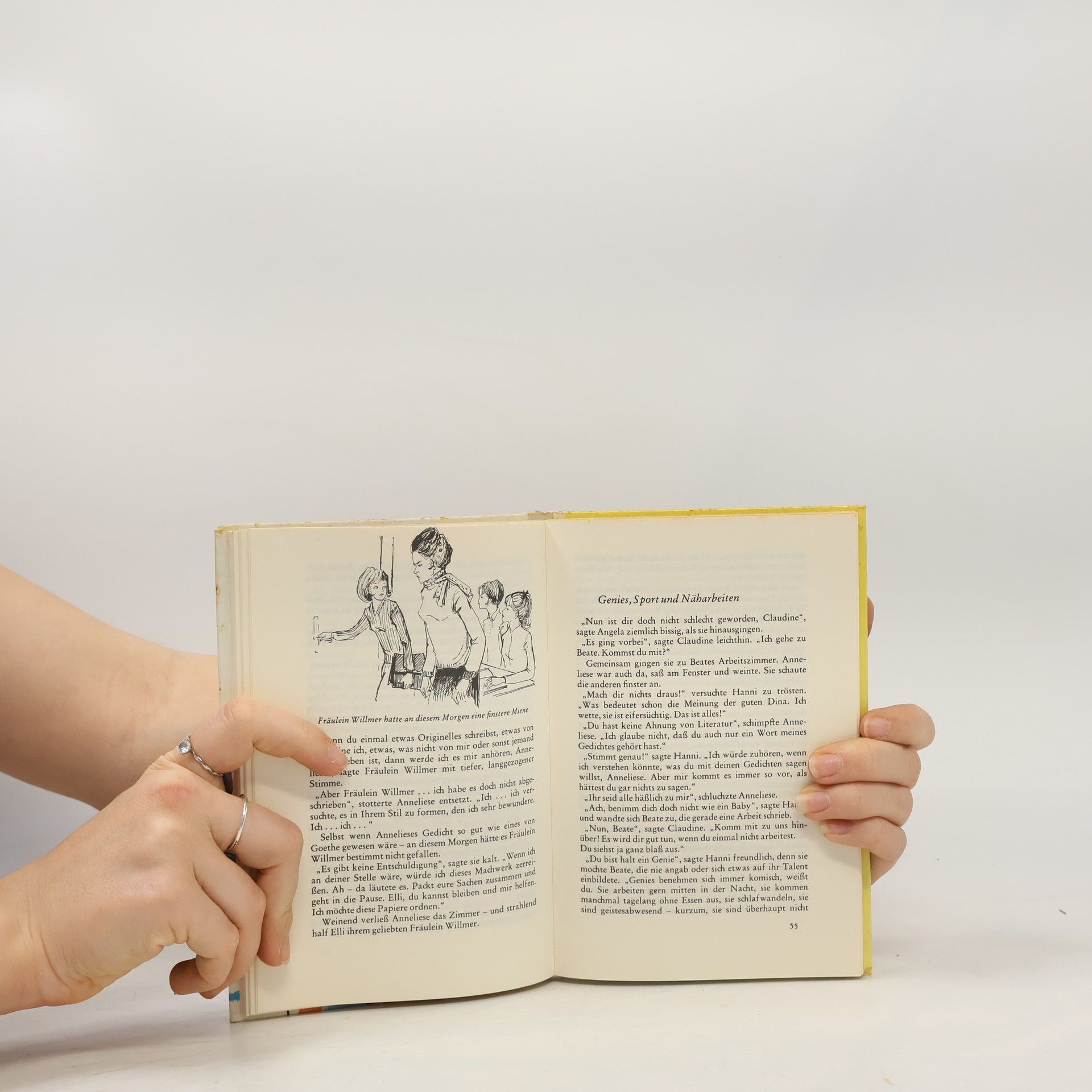 Enid Blyton Fröhliche Tage für Hanni und Nanni