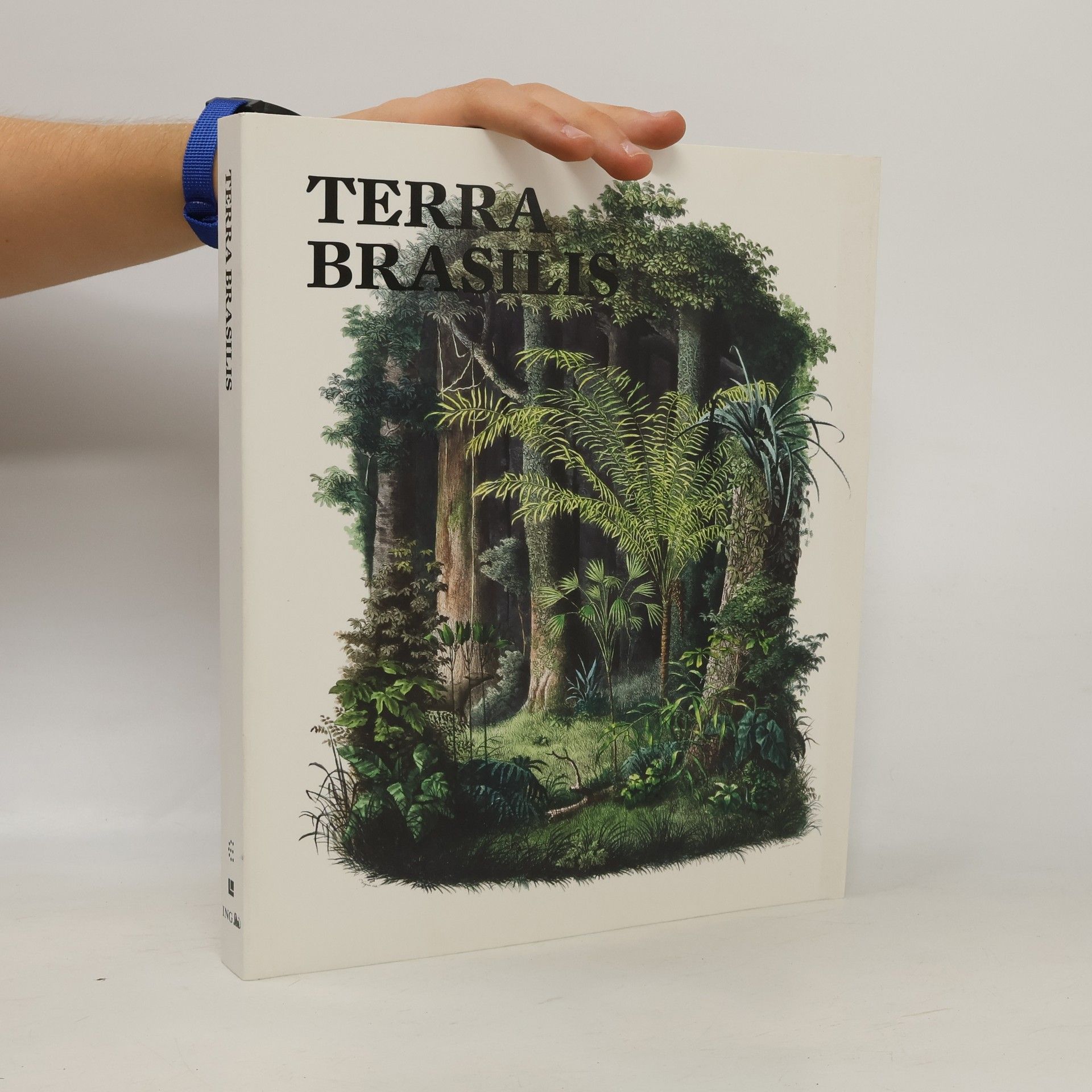 Valeria Piccoli Terra Brasilis
