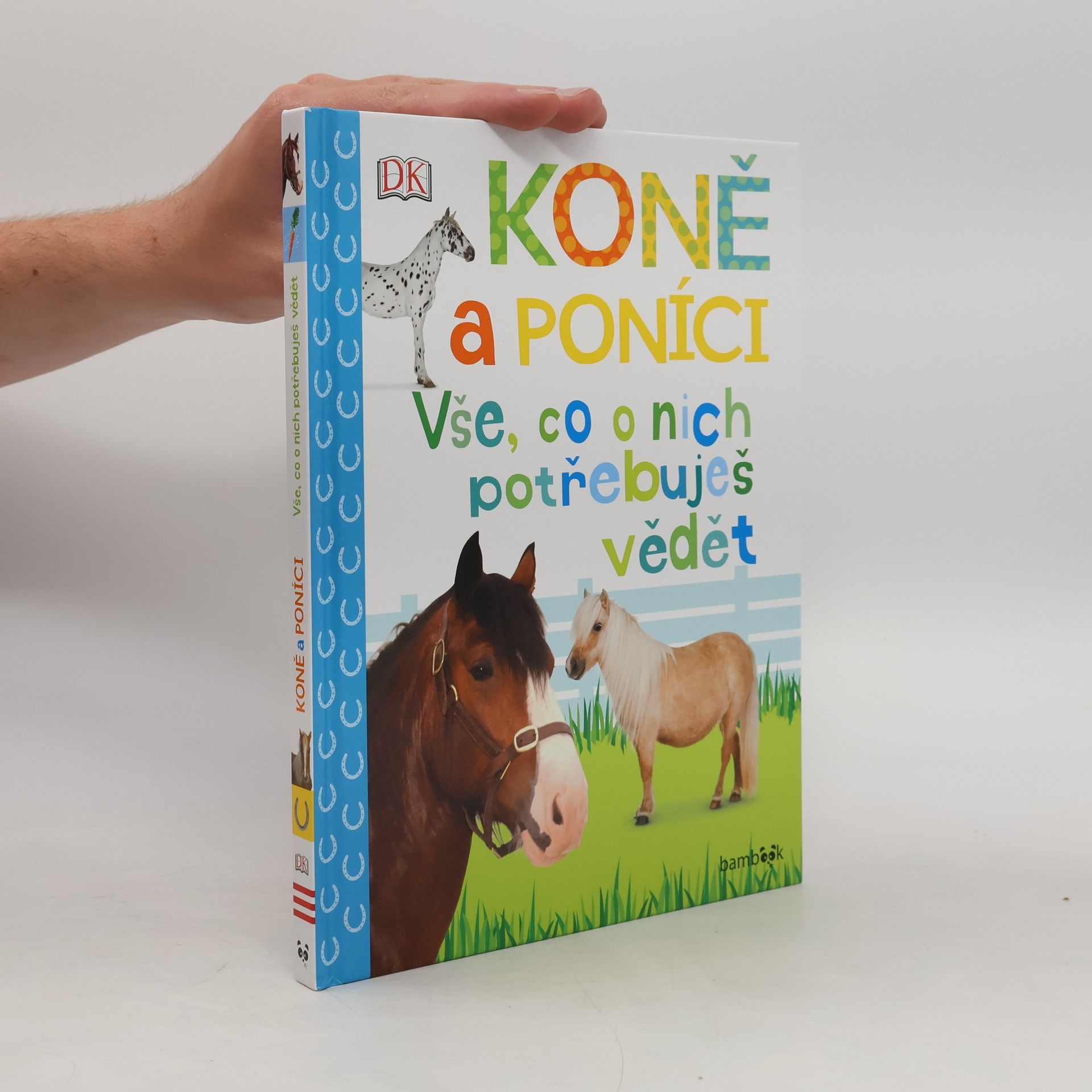 Andrea Mills Koně a poníci – Vše, co o nich potřebuješ vědět