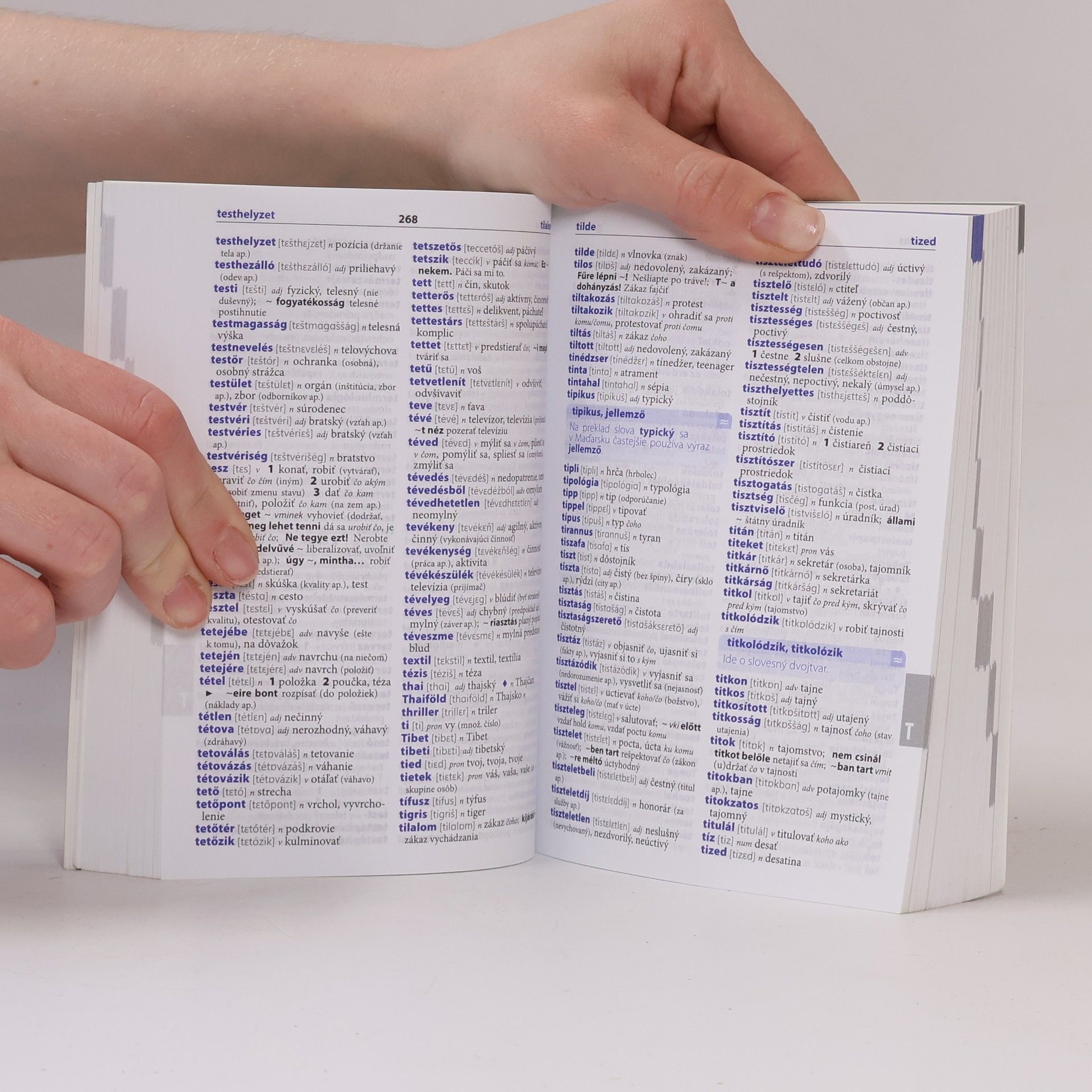 Autorenkollektiv Maďarsko-slovenský, slovensko-maďaský šikovný slovník