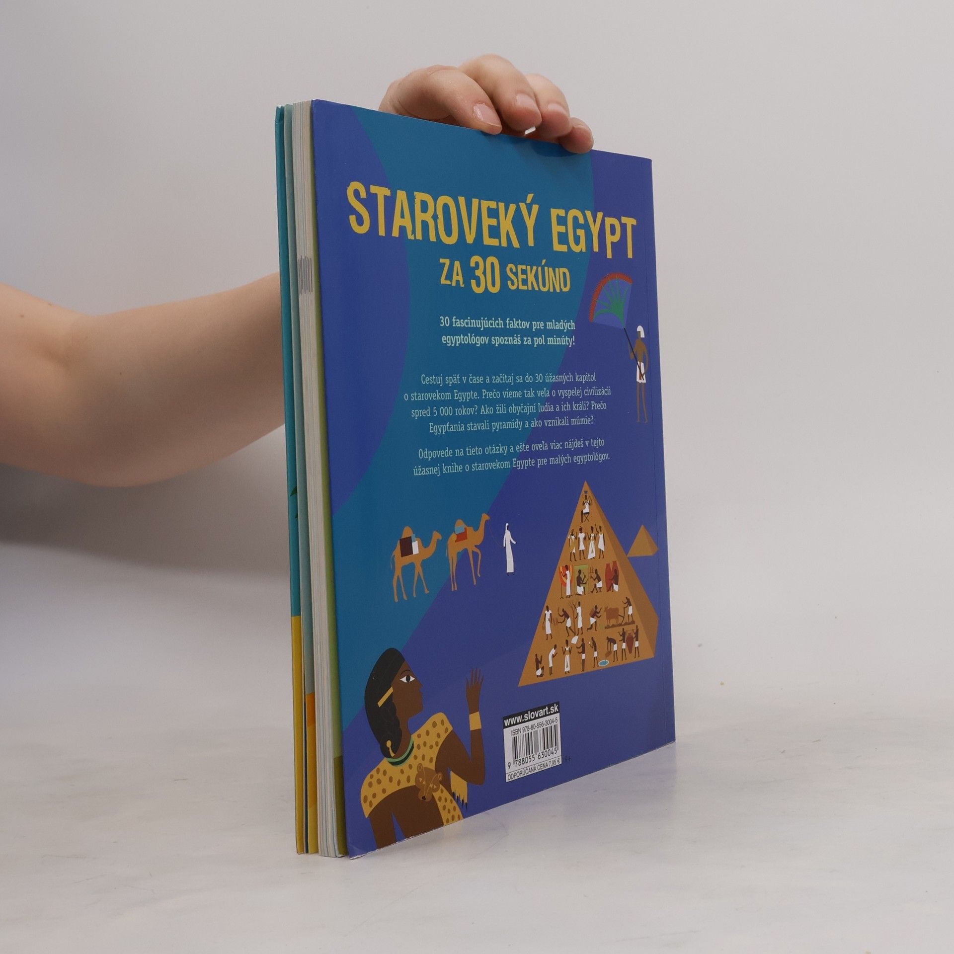 Cath Senker Staroveký Egypt za 30 sekúnd