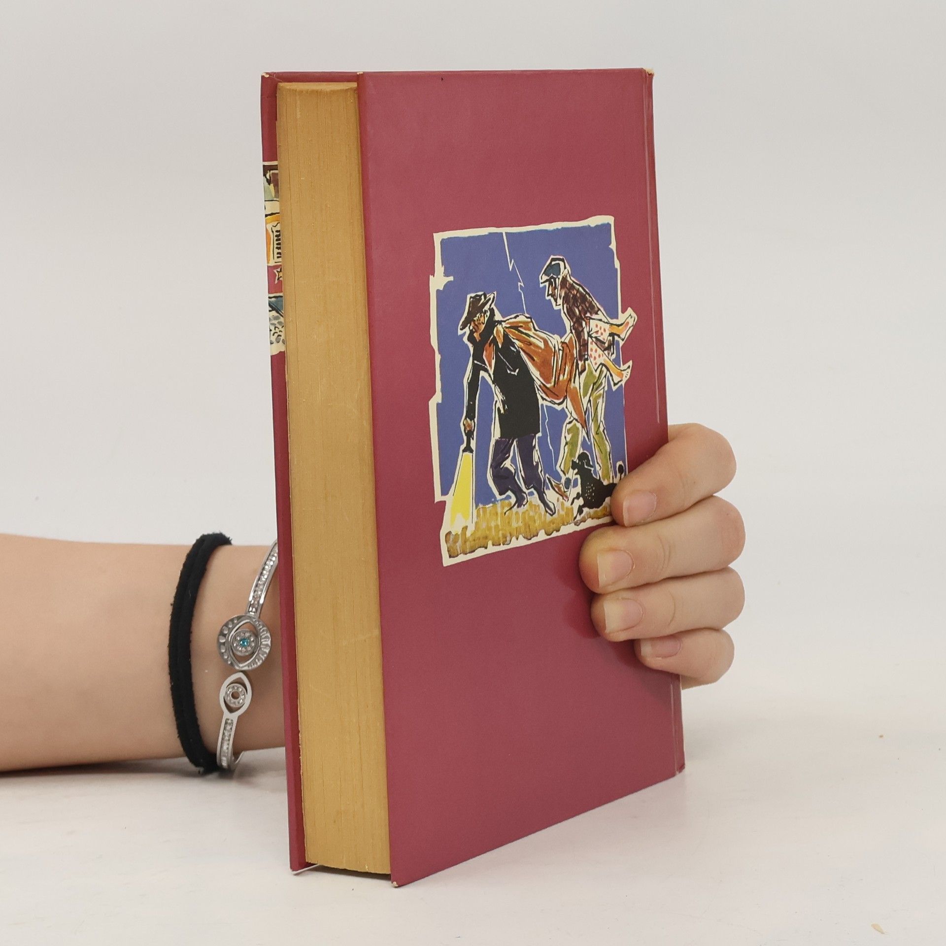 Enid Blyton 5 Freunde jagen die Entführer