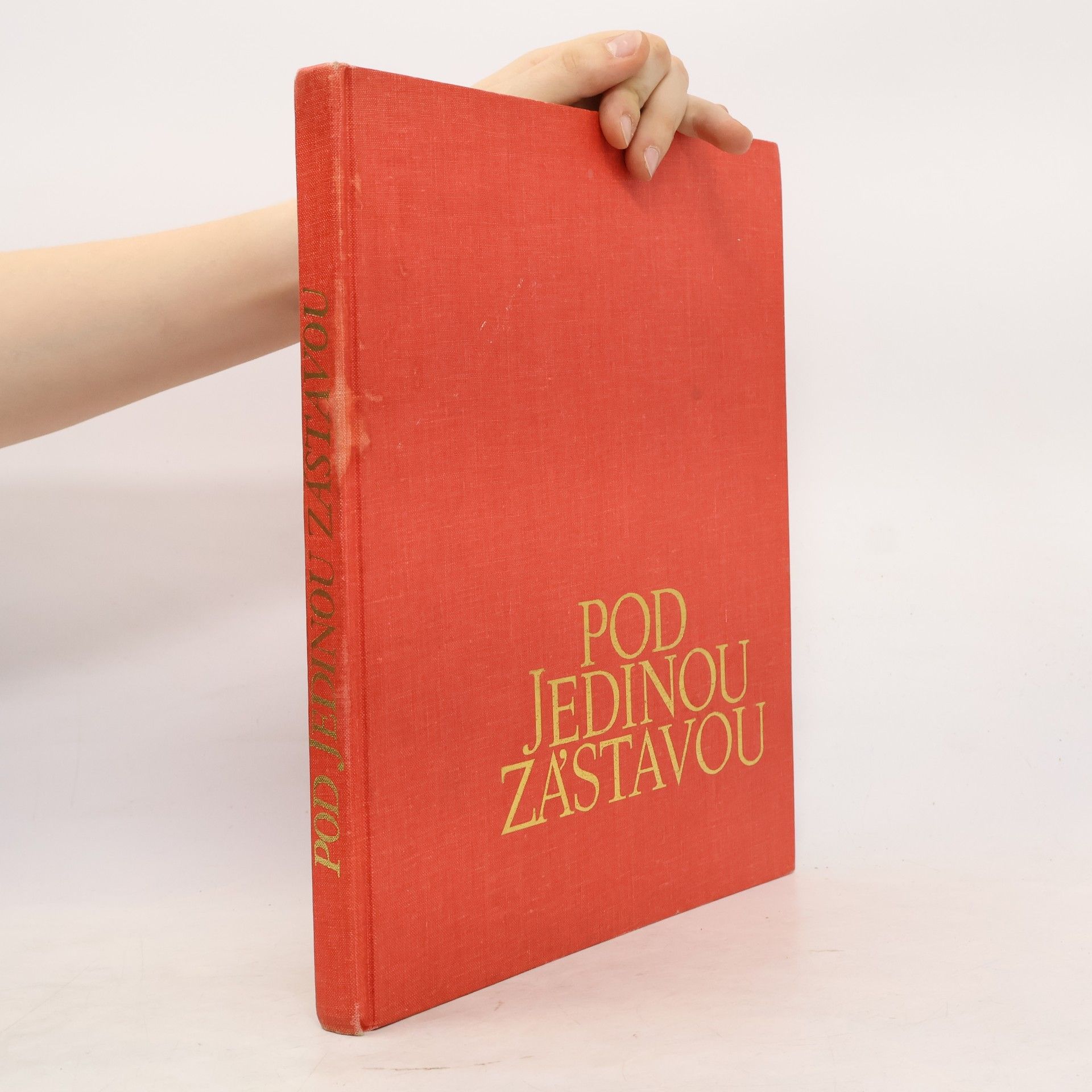 Jiří Pražák Pod jedinou zástavou