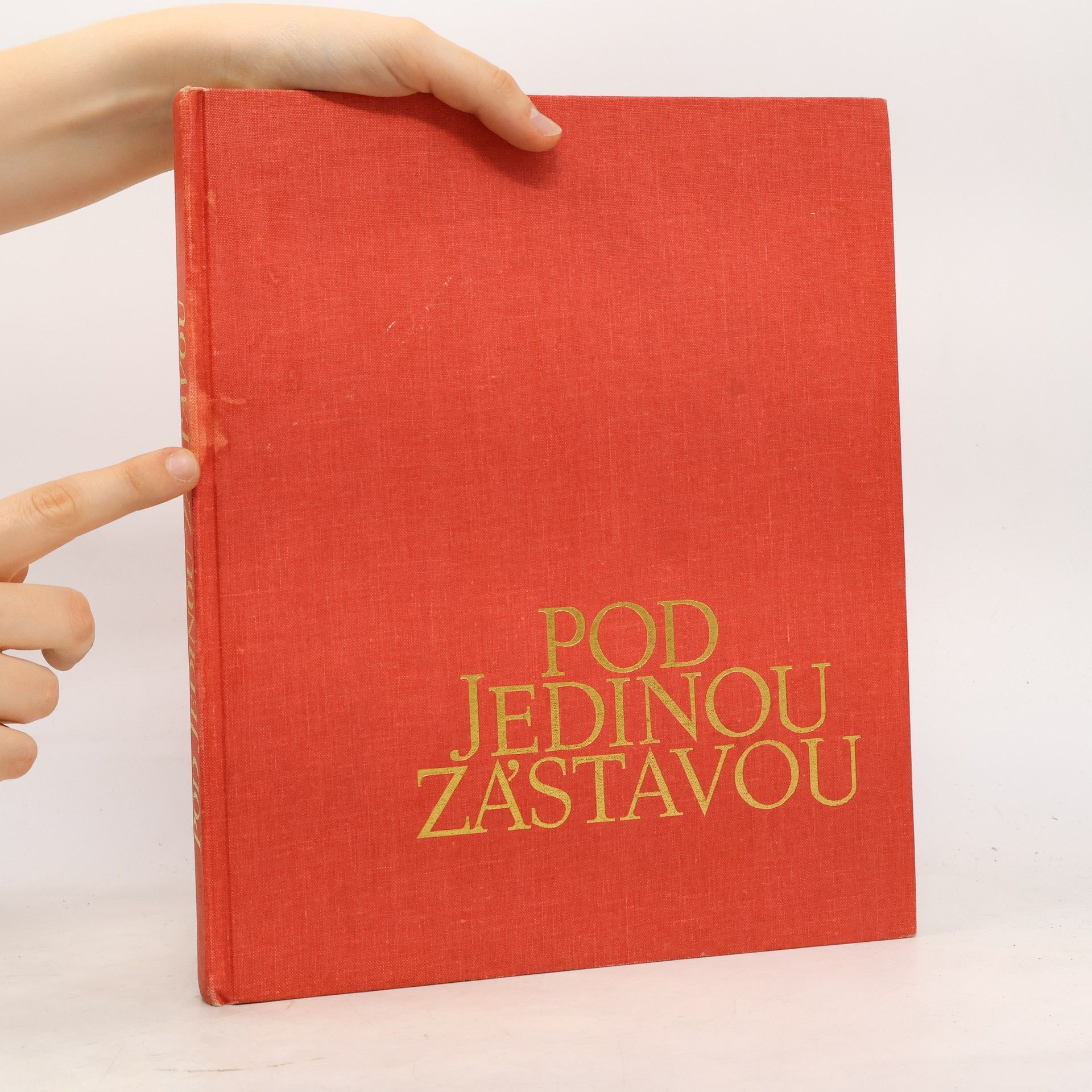 Jiří Pražák Pod jedinou zástavou
