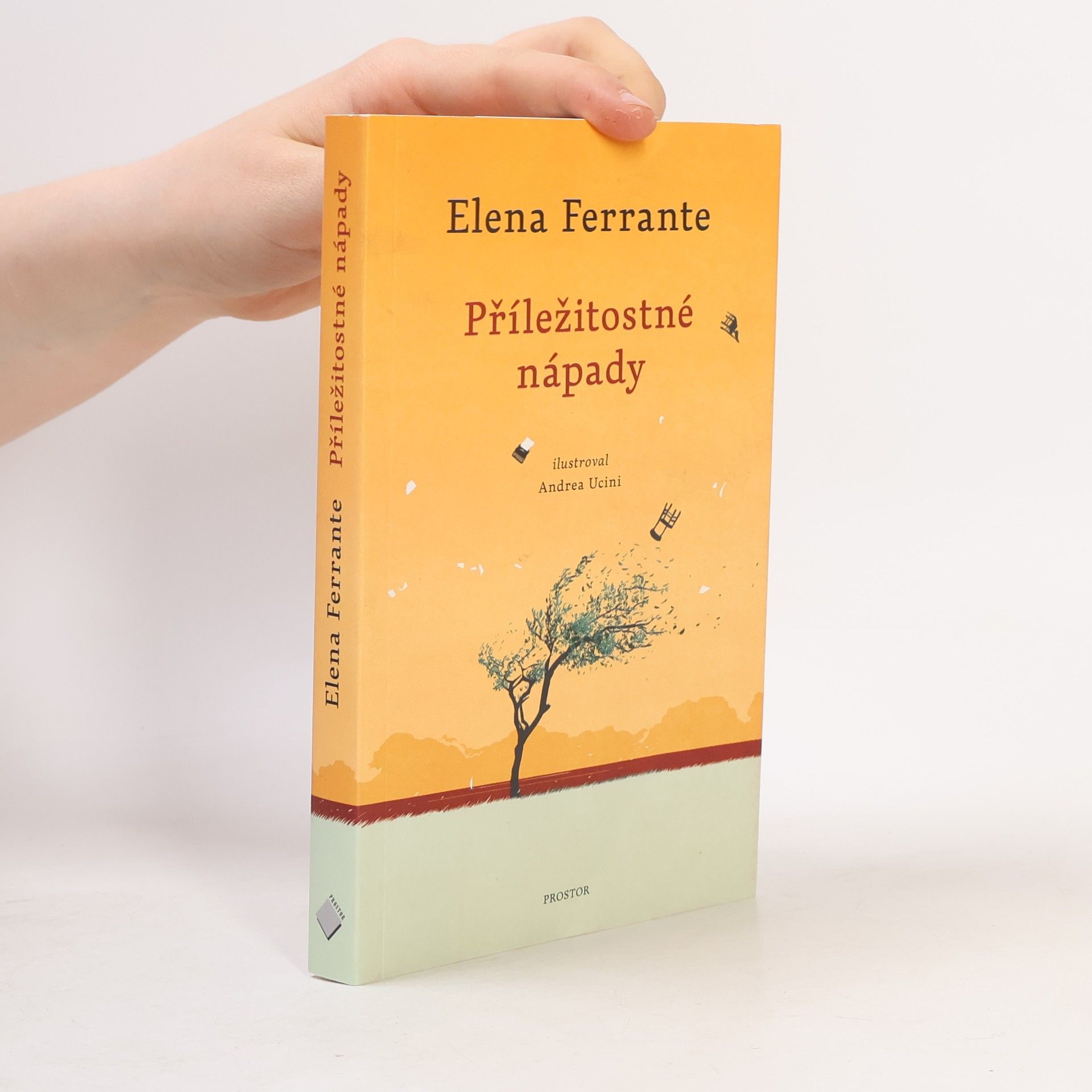 Elena Ferrante Příležitostné nápady