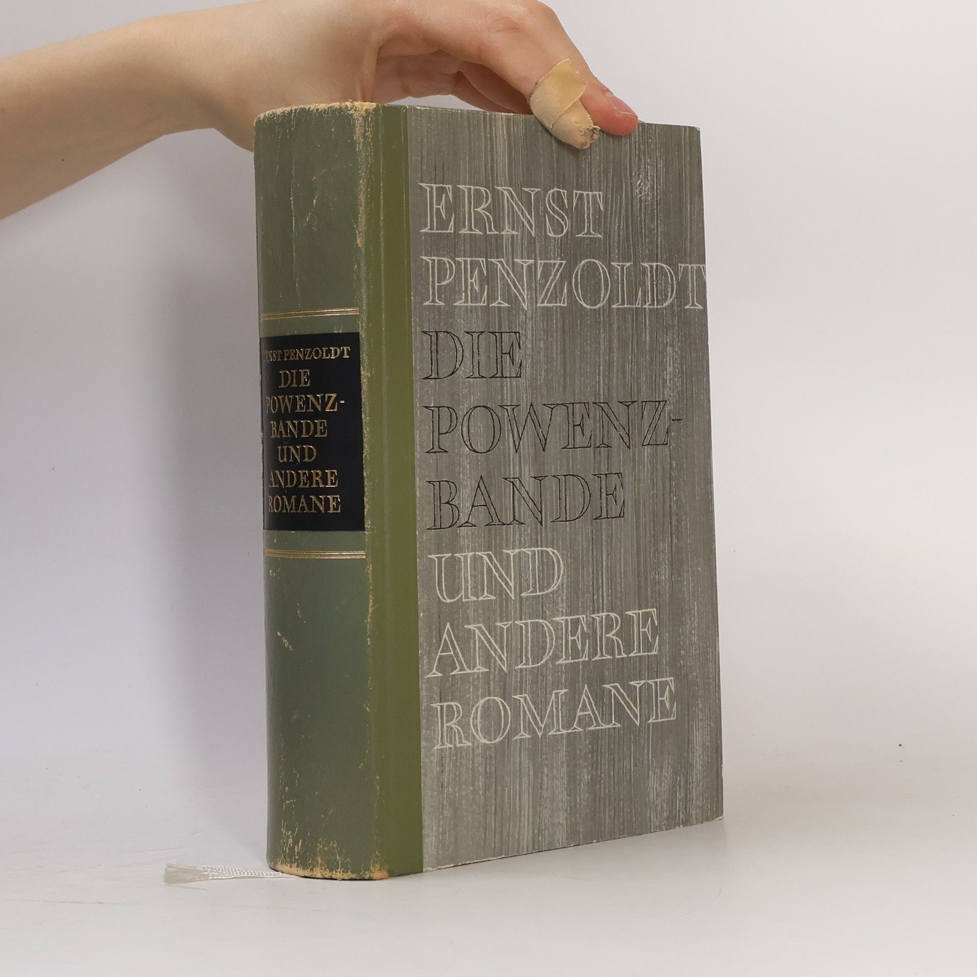 Ernst Penzoldt Die Powenzbande und andere Romane