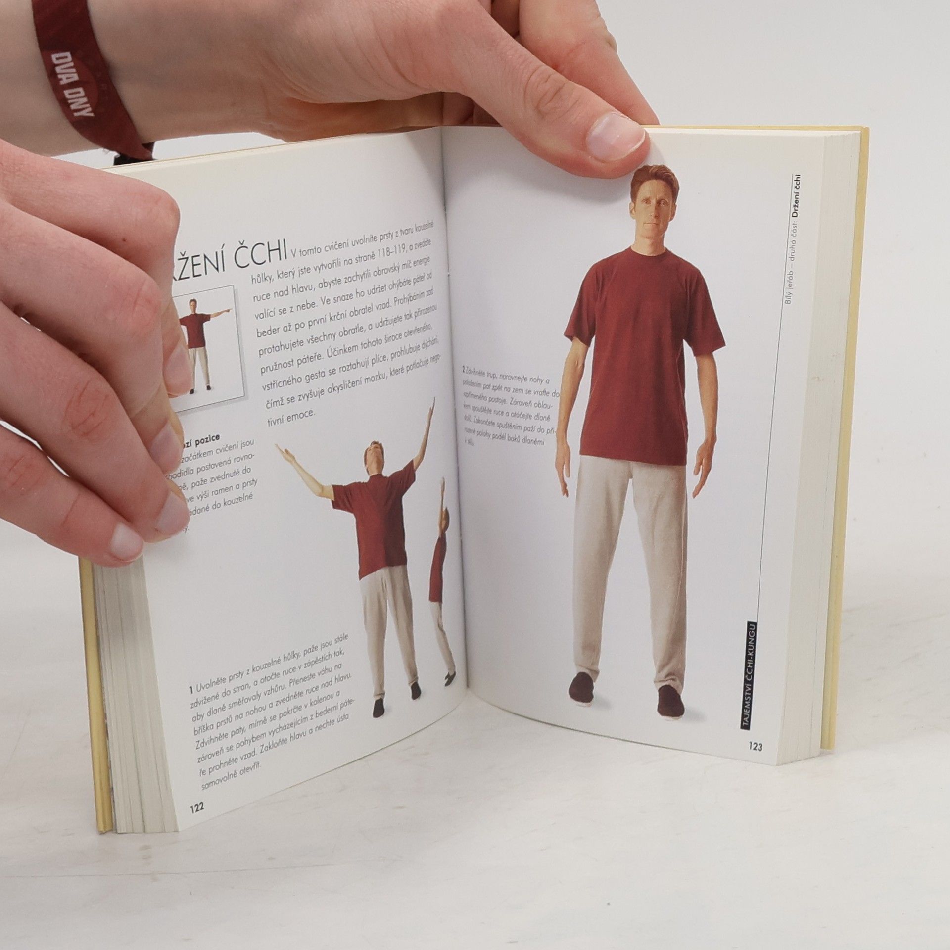 Angus Clark Tajemství čchi-kungu
