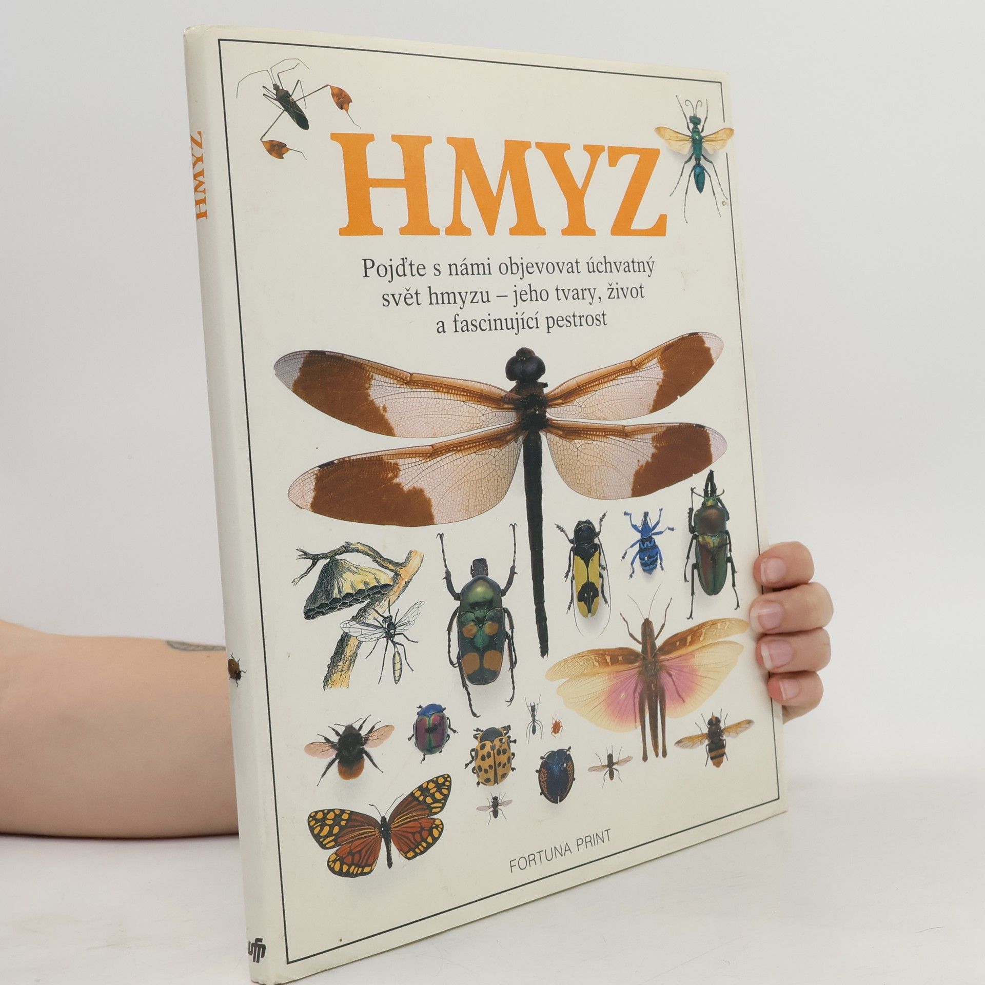 Hmyz