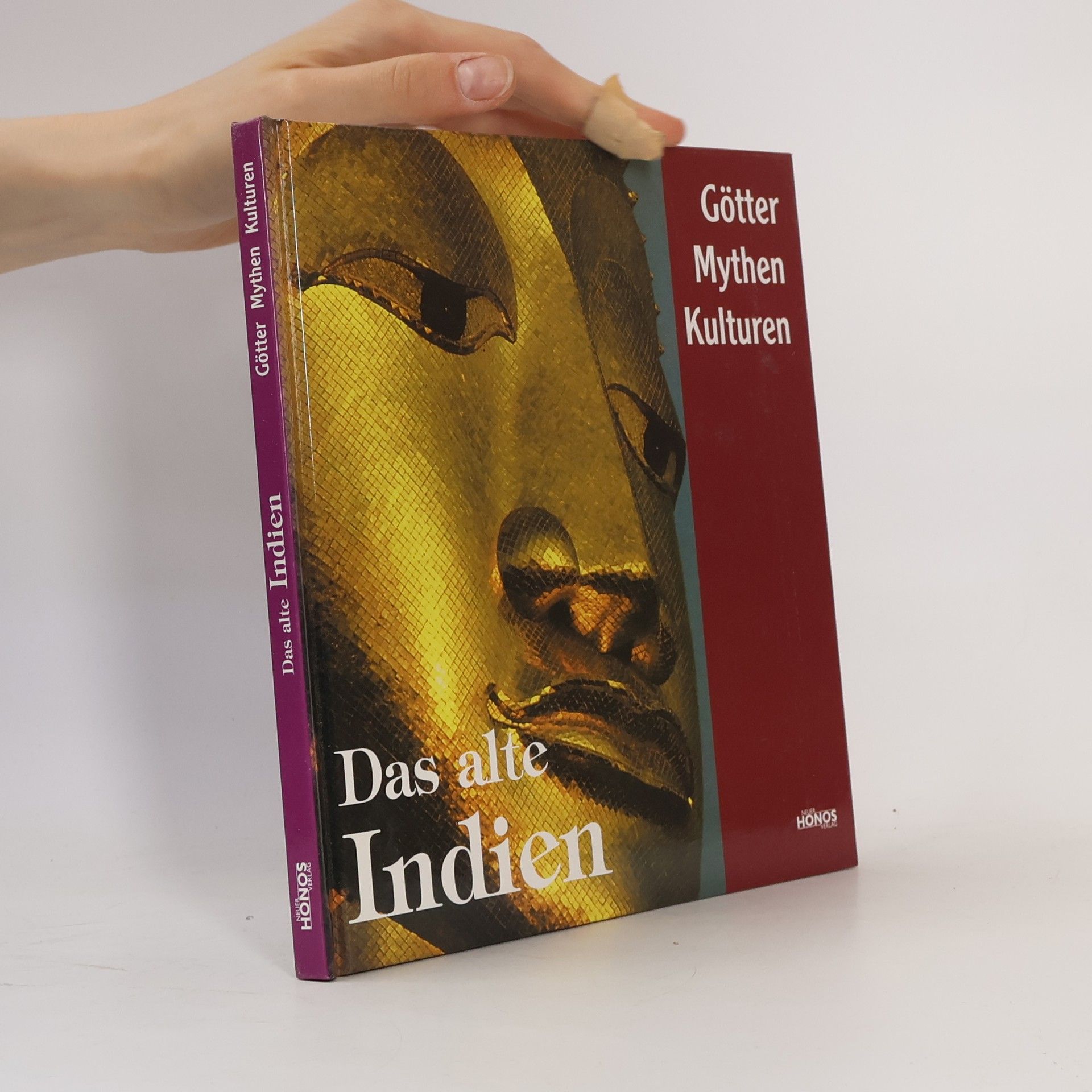Kolektiv autorů Das alte Indien