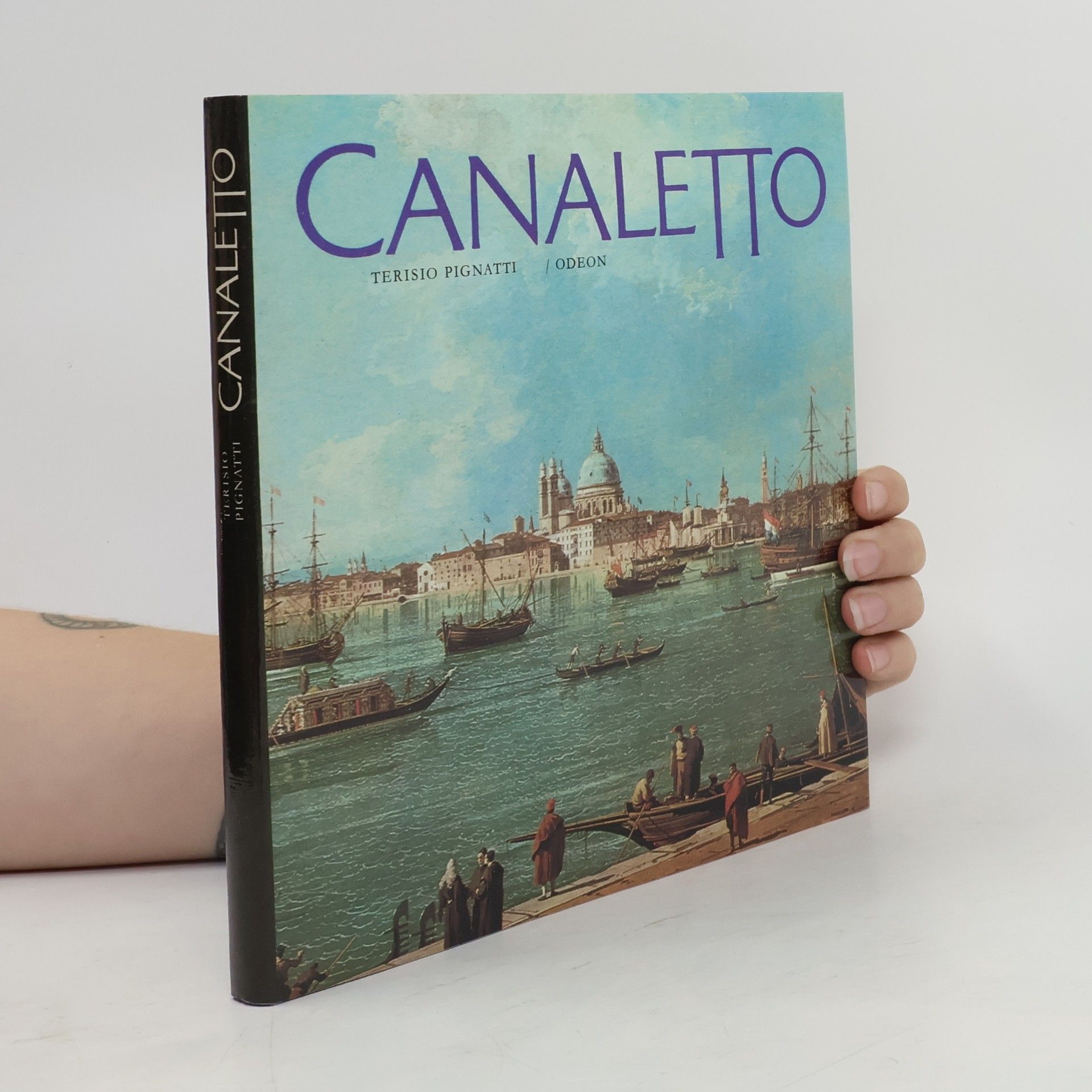 Terisio Pignatti Canaletto