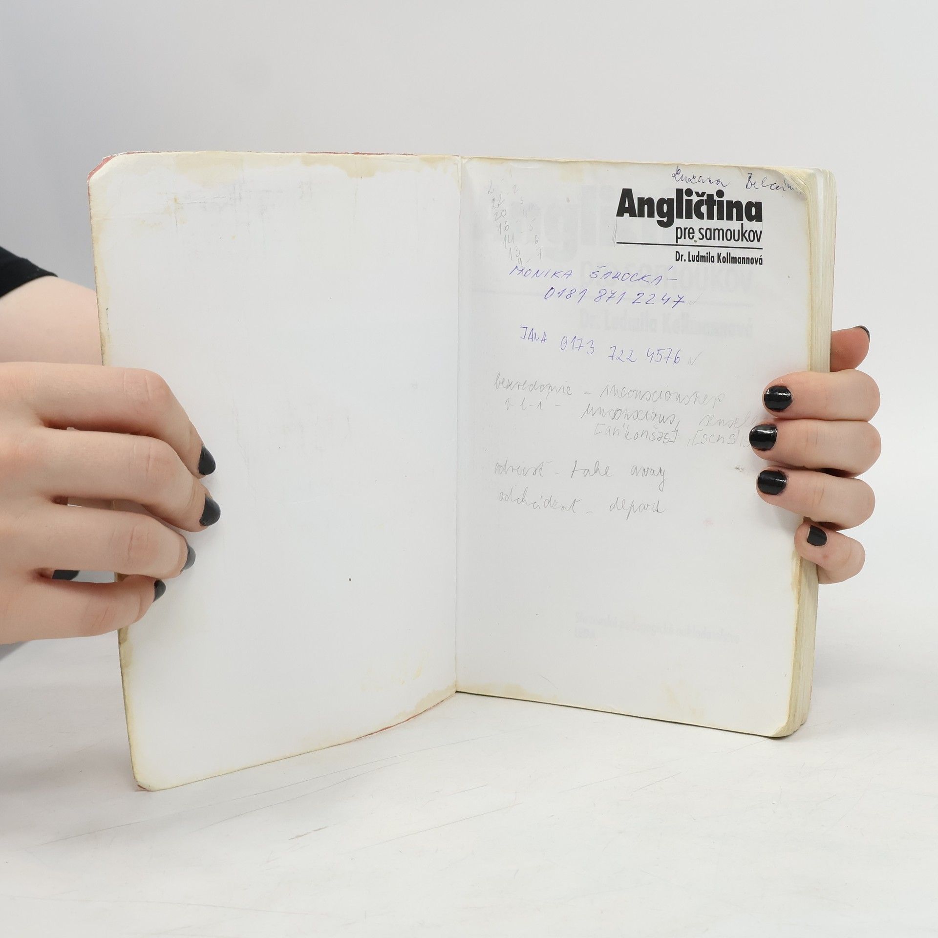 Ludmila Kollmannova Angličtina pre samoukov