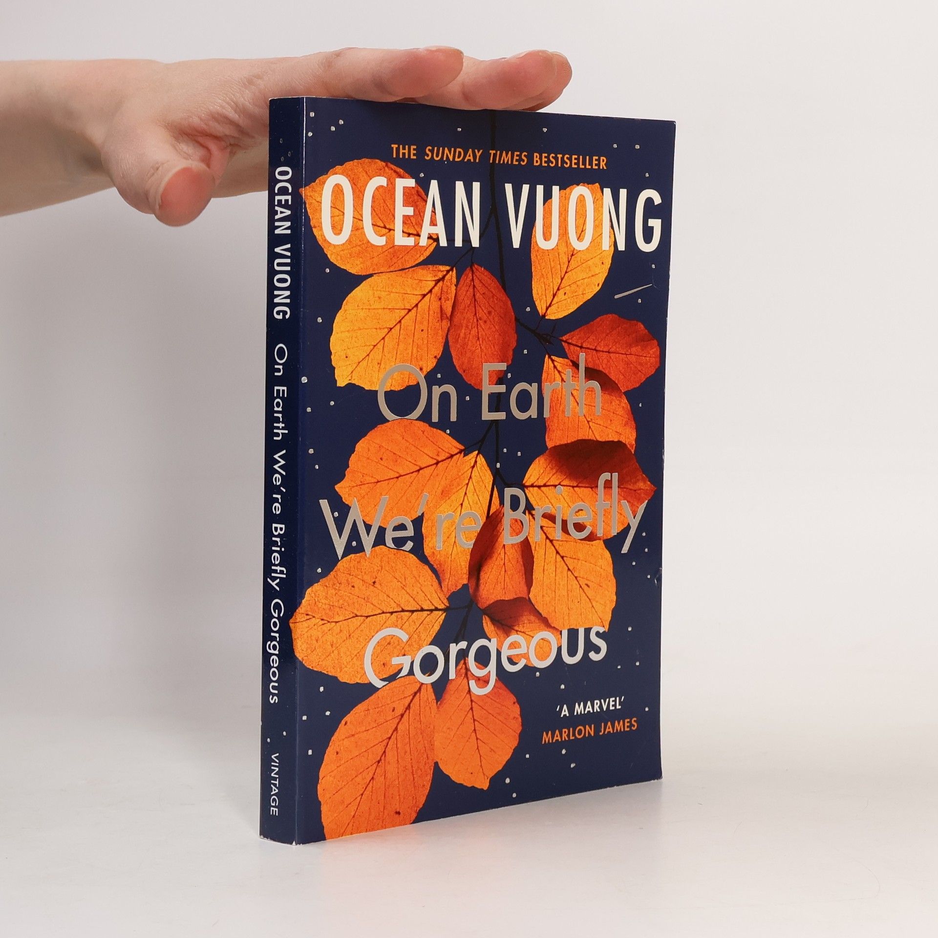 Ocean Vuong On Earth We're Briefly Gorgeous