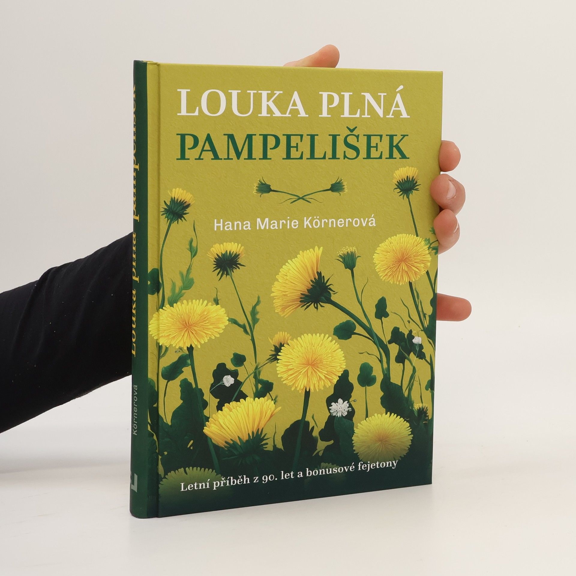 Louka plná pampelišek