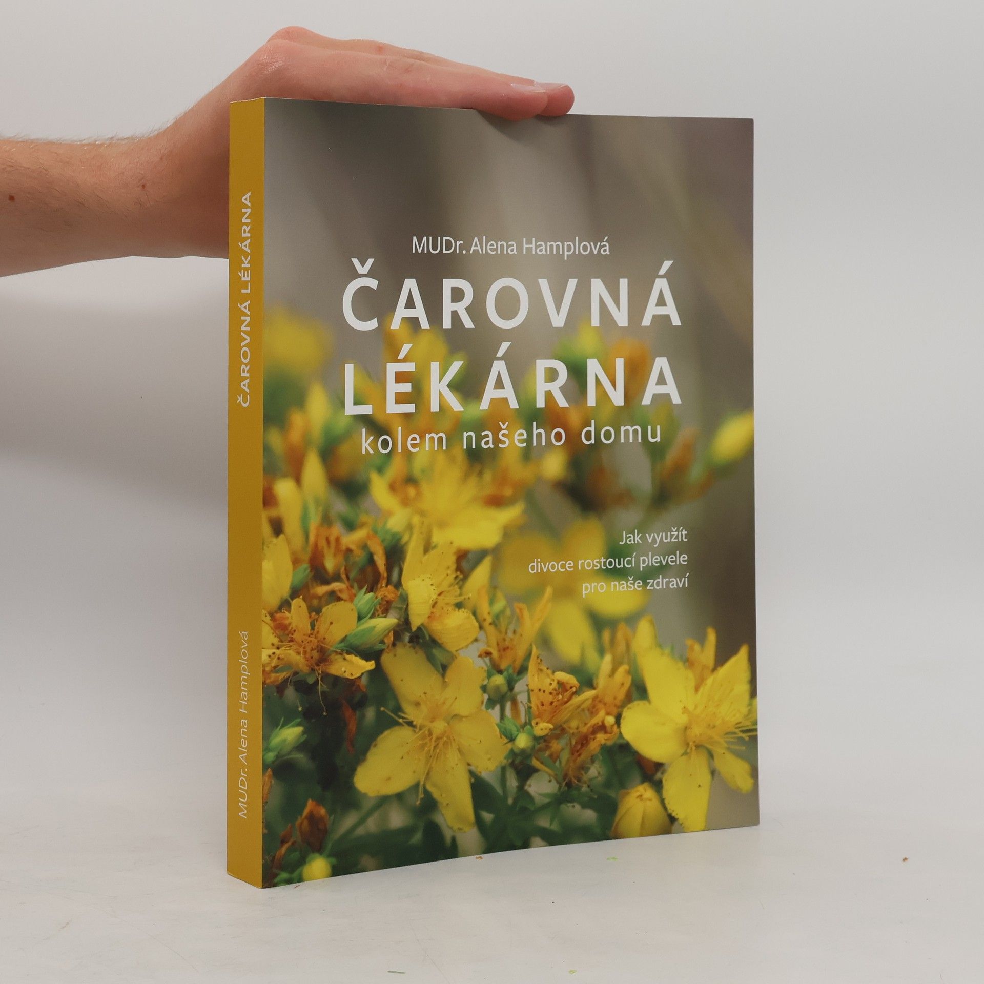 Alena Hamplová Čarovná lékárna kolem našeho domu