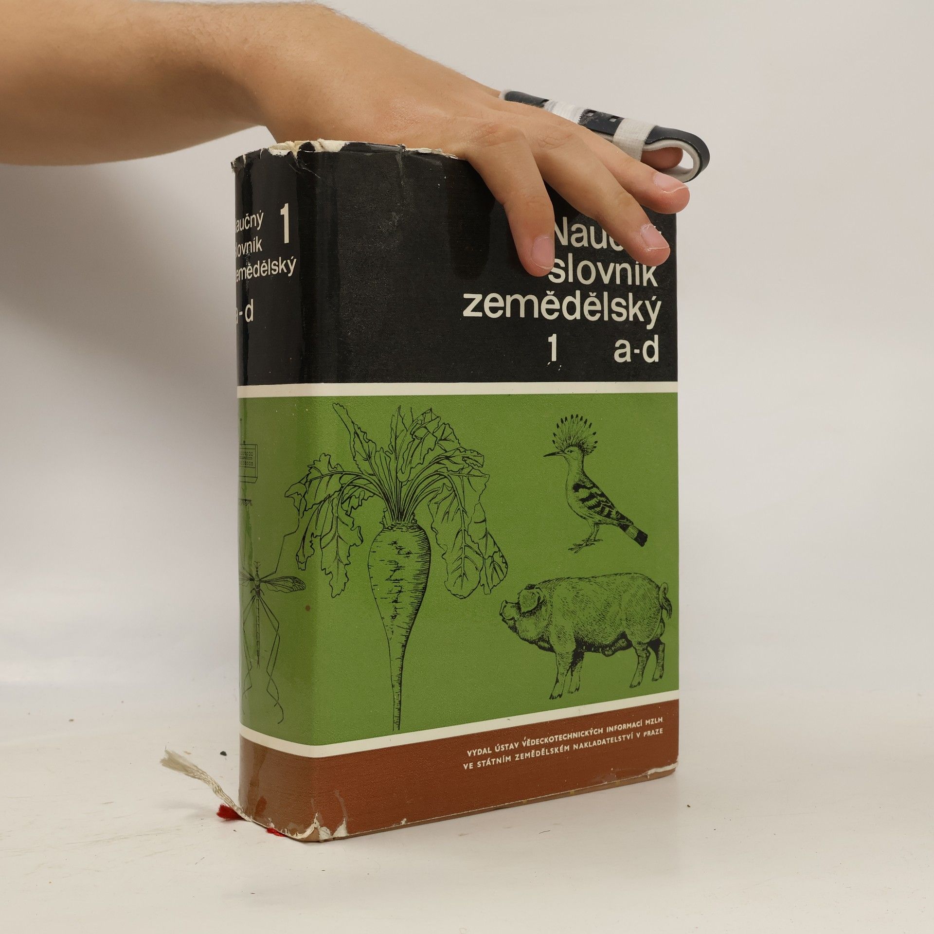 Autorenkollektiv Naučný slovník zemědělský 1 a-d
