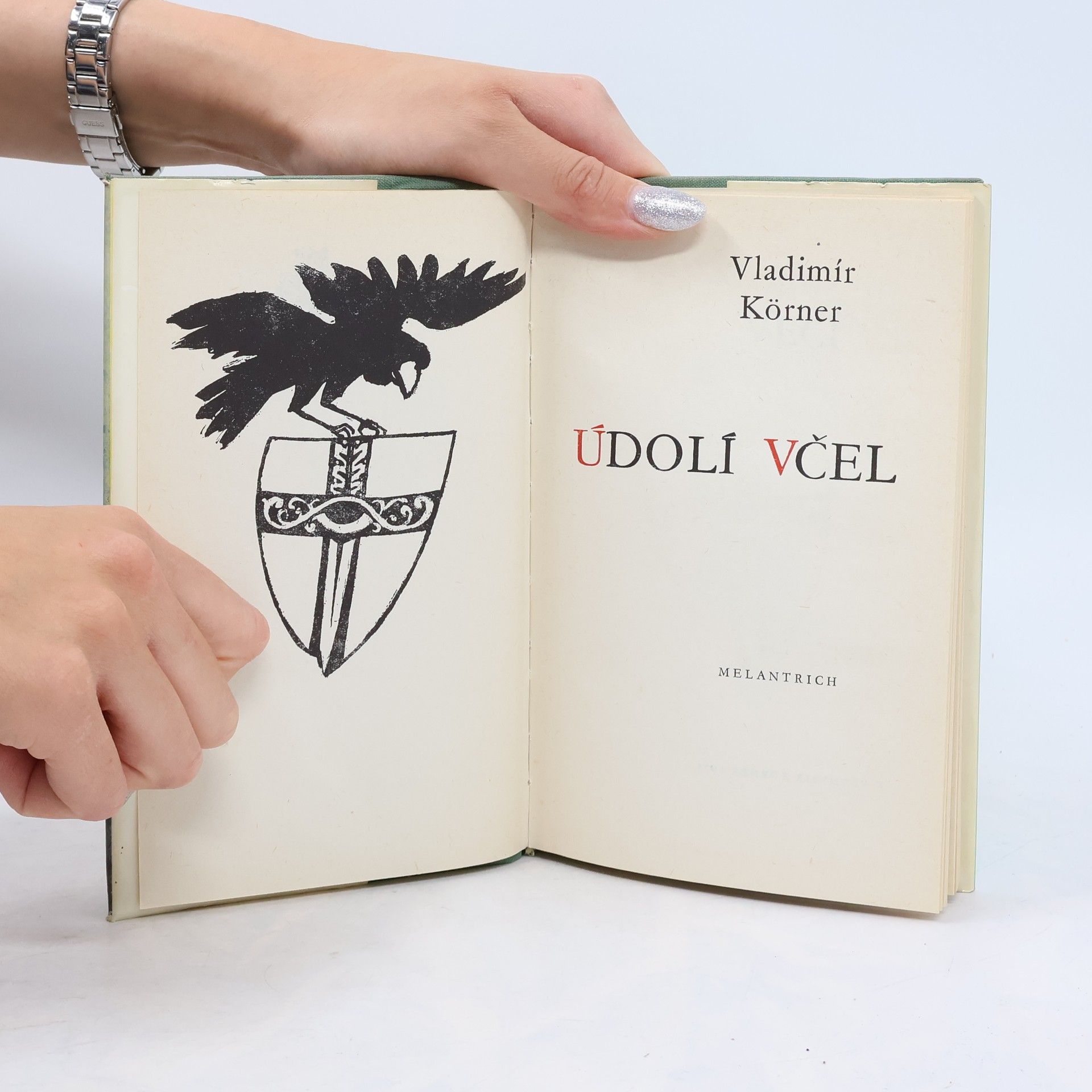 Vladimír Körner Údolí včel