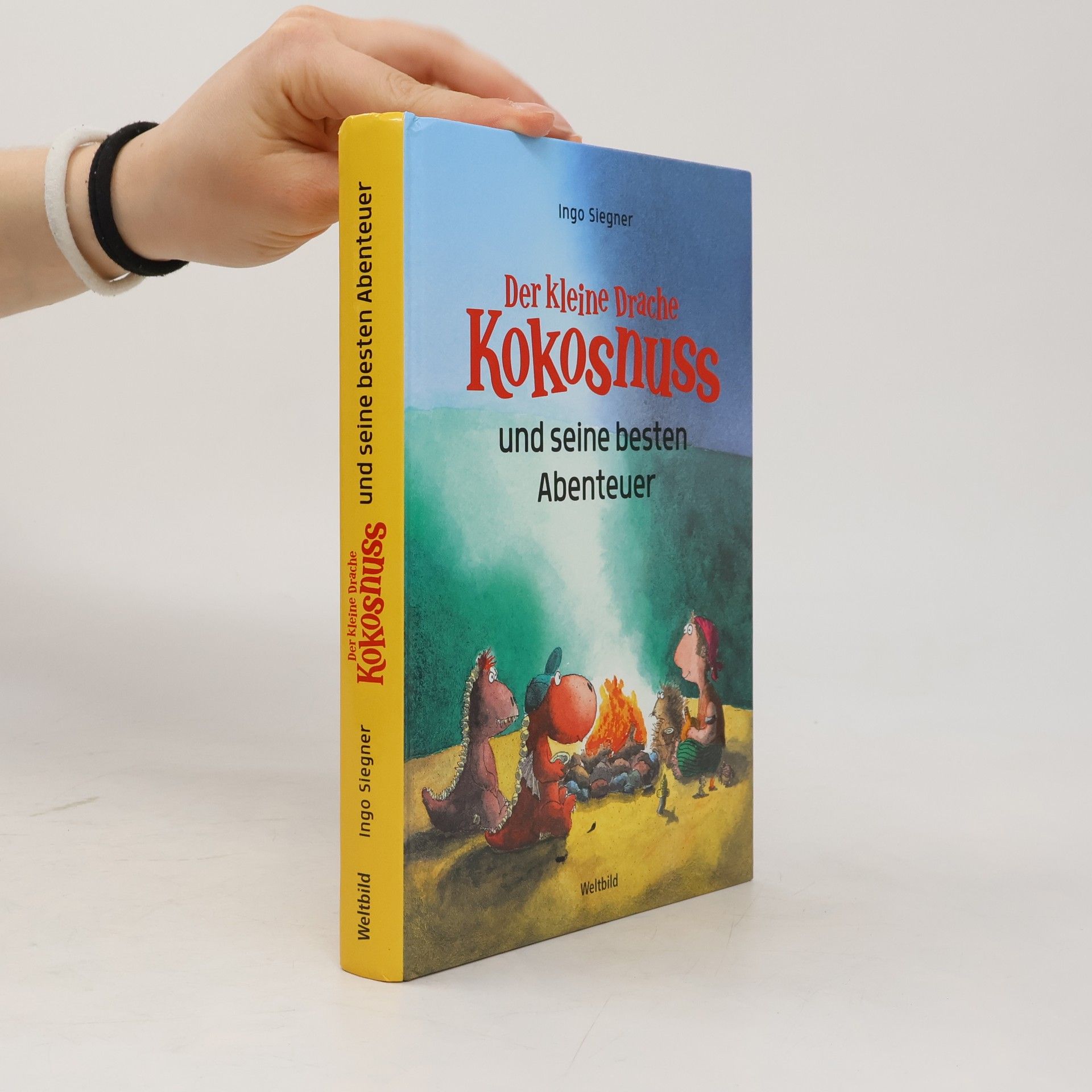 Ingo Seigner Der kleine Drache Kokosnuss und seine besten Abenteuer