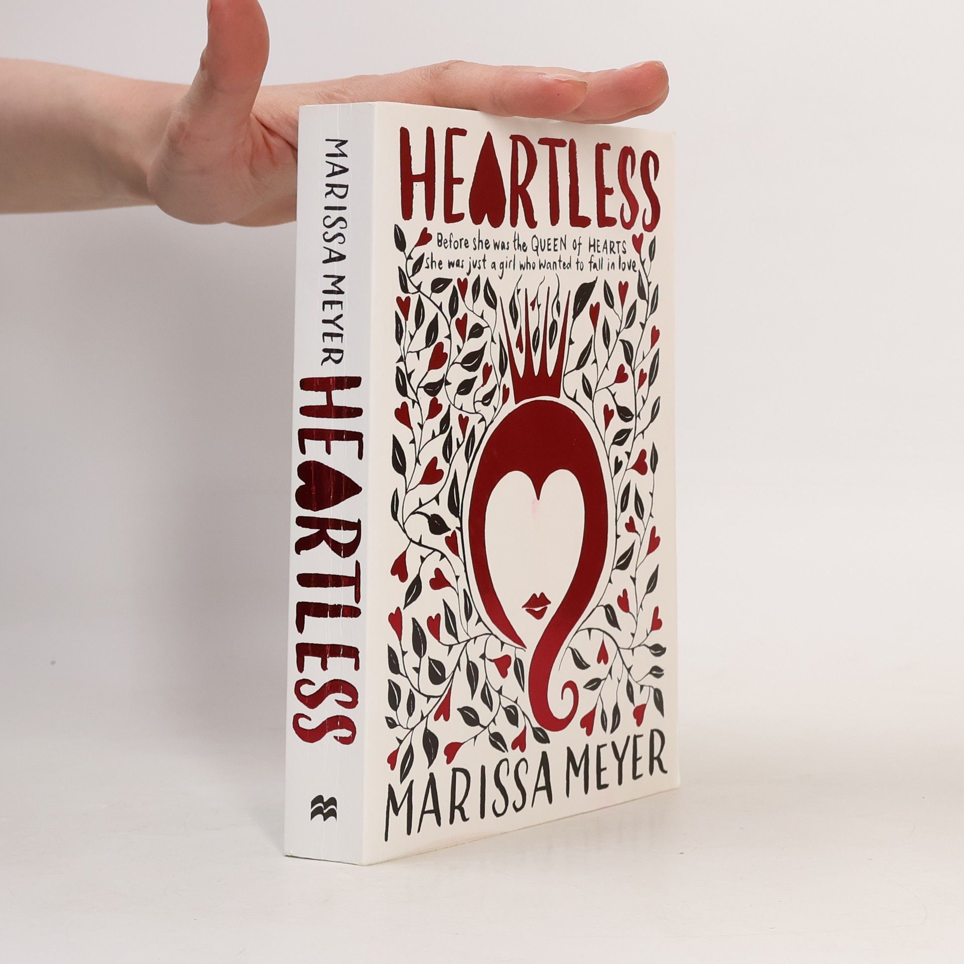 Marissa Meyerová Heartless