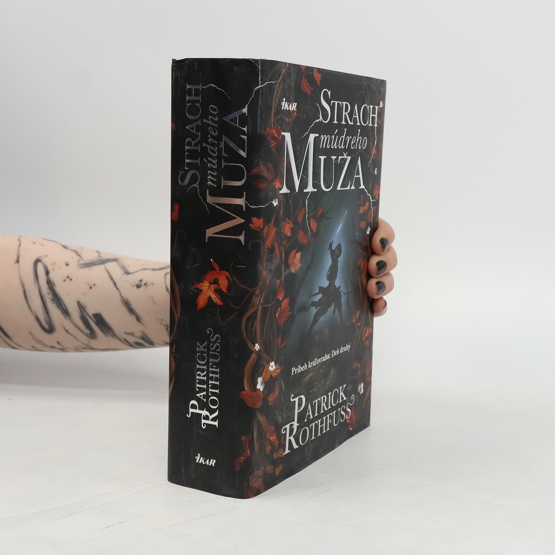 Patrick Rothfuss Strach múdreho muža