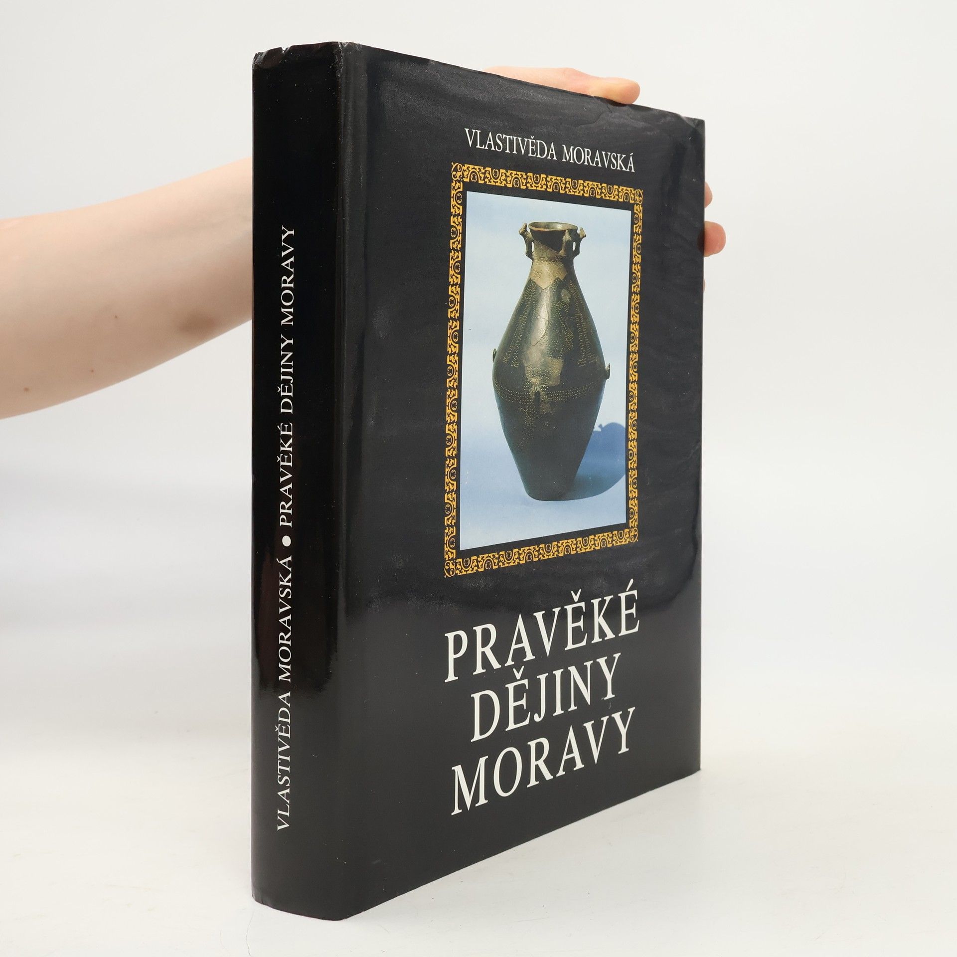 Vladimír Podborský Pravěké dějiny Moravy, Nová řada - Sv. 3
