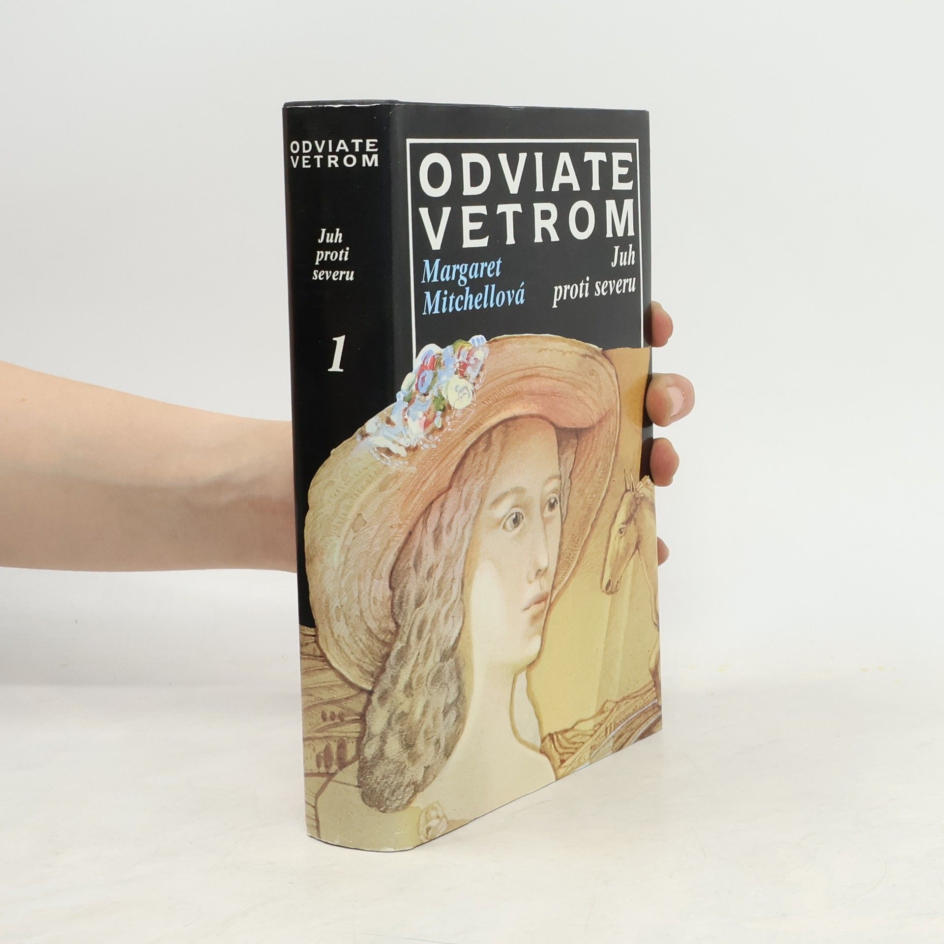 Margaret Mitchell Odviate vetrom 1. Juh proti severu