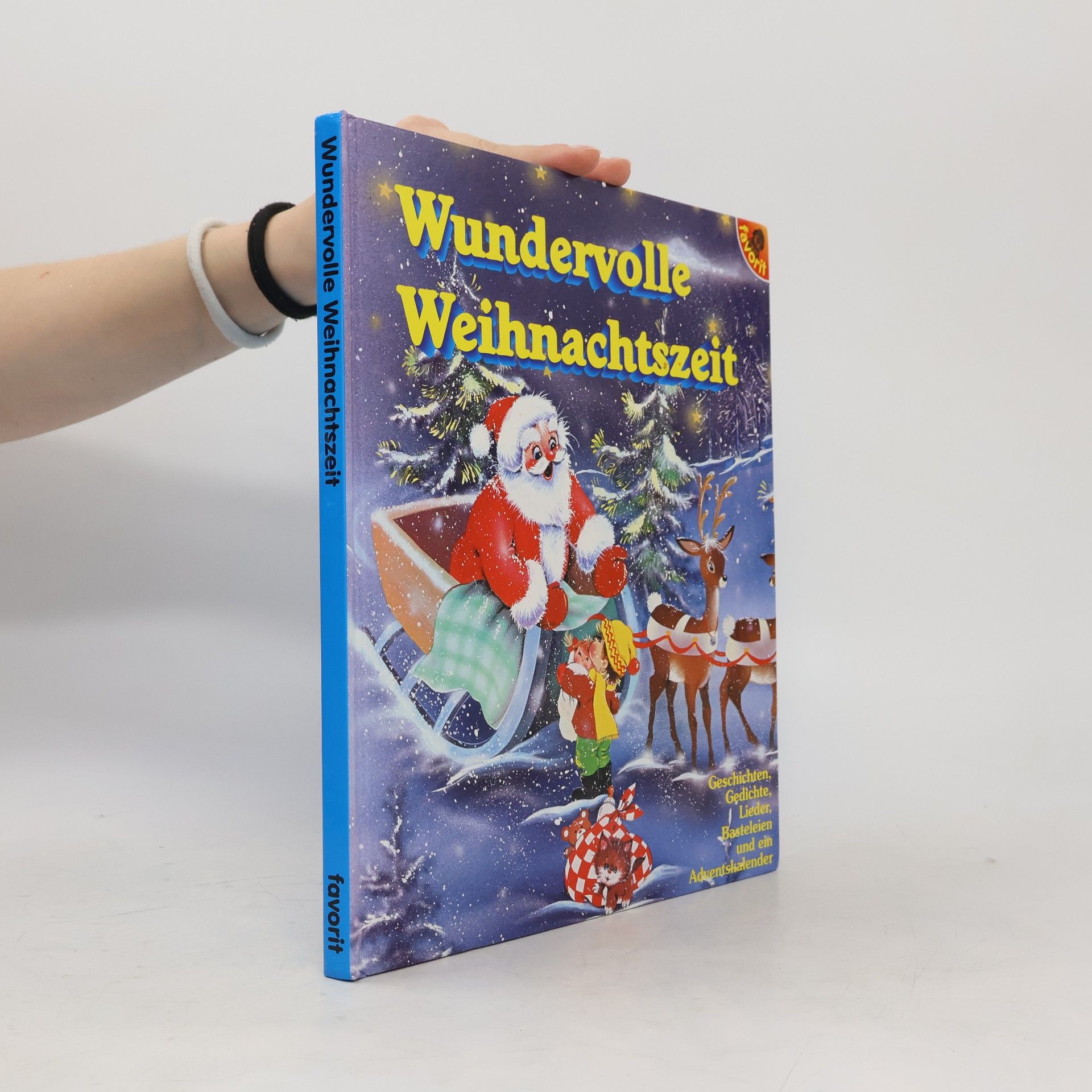 Kolektiv autorů Wundervolle Weihnachtszeit