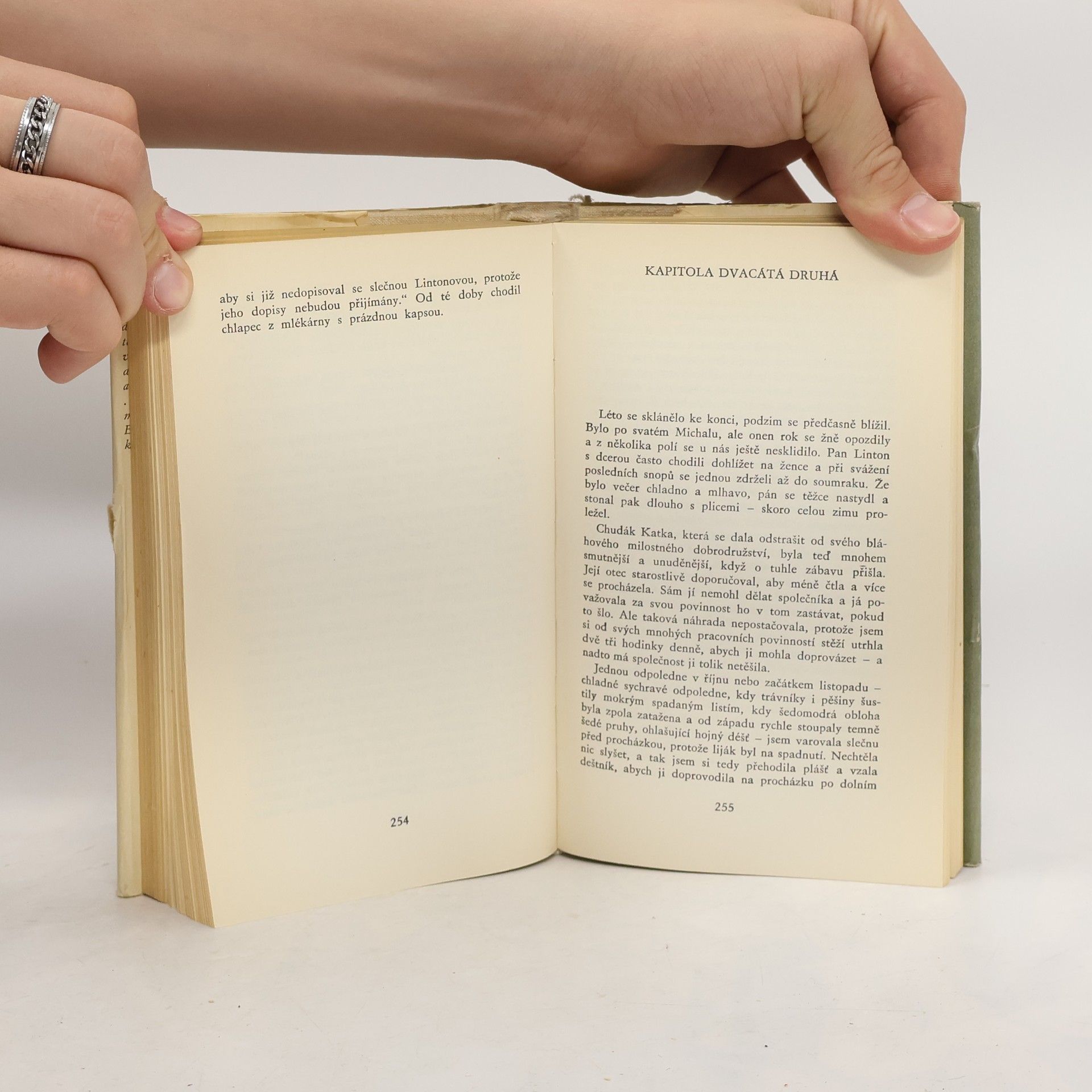 Emily Brontë Na větrné hůrce