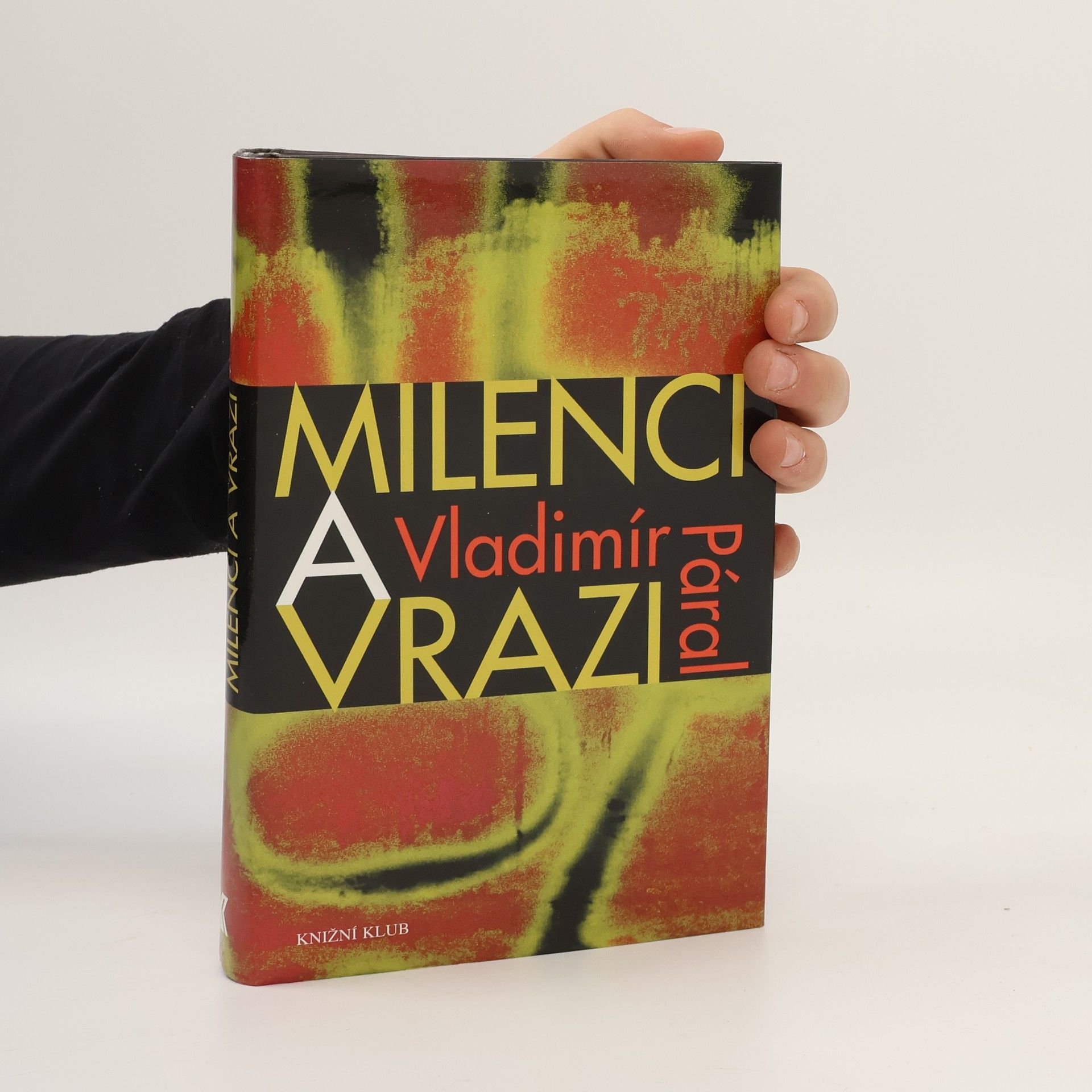 Vladimír Páral Milenci a vrazi. Magazín ukájení kolem roku 2000