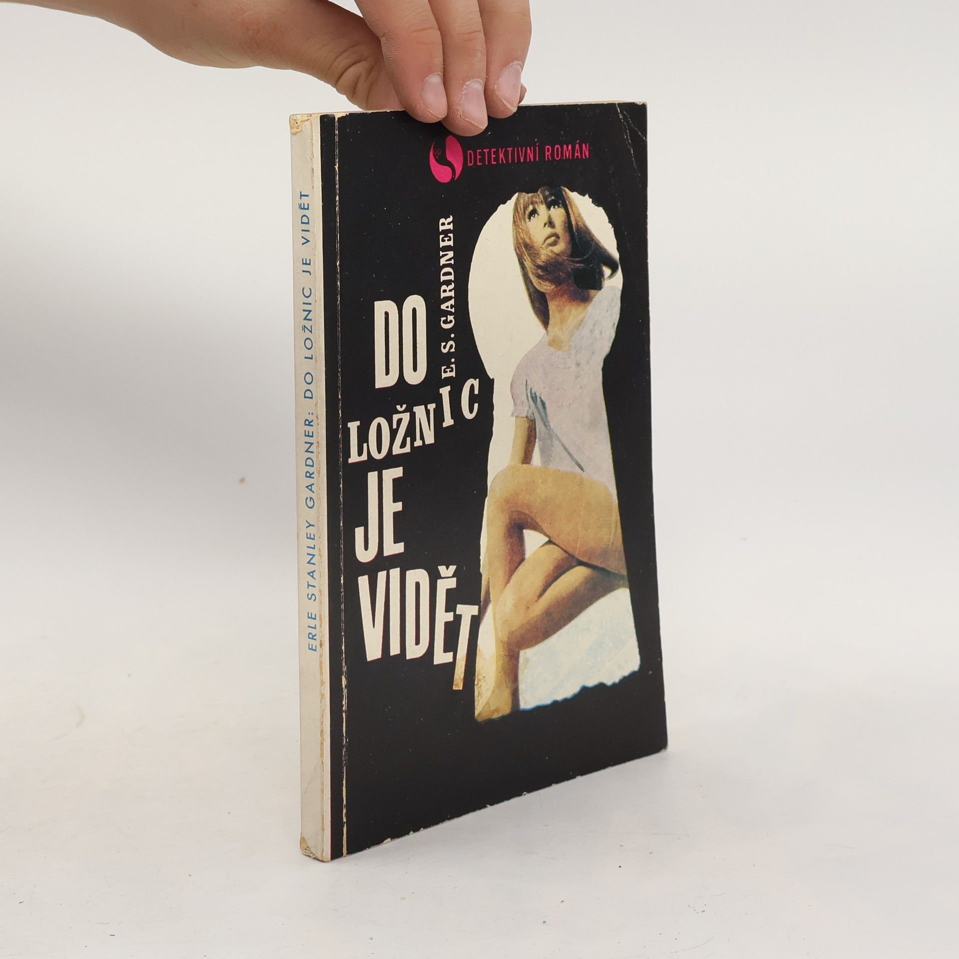 Erle Stanley Gardner Do ložnic je vidět