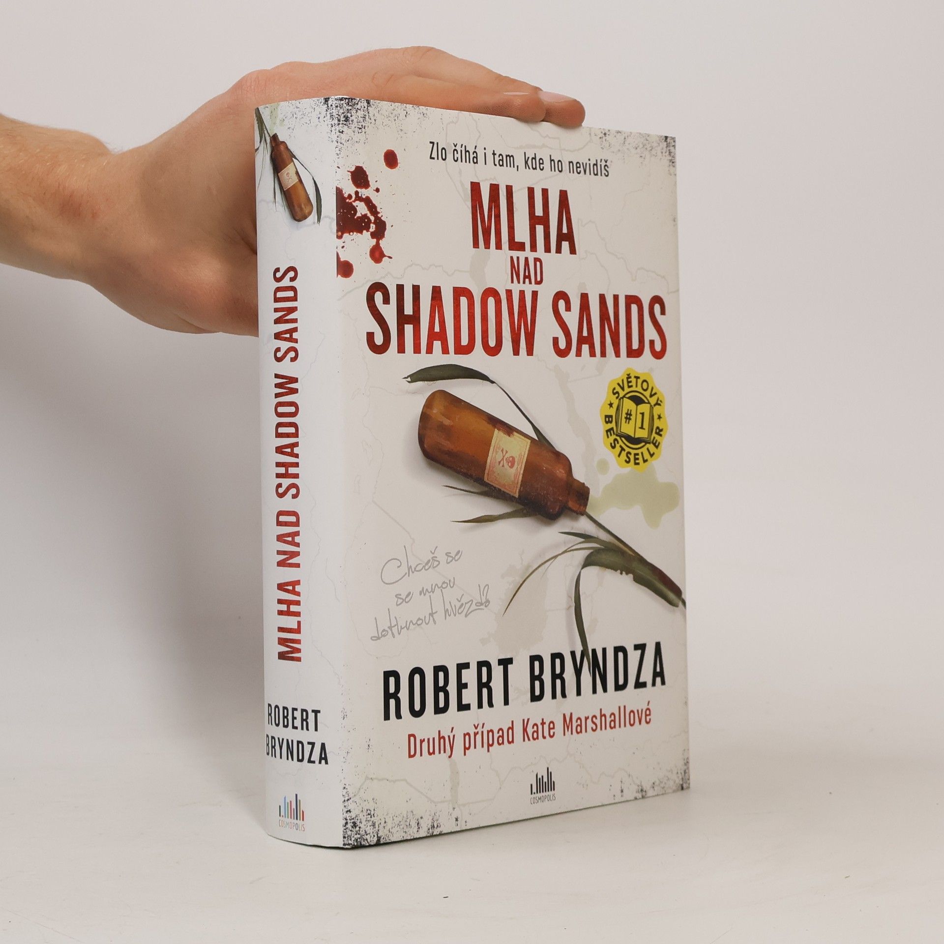 Robert Bryndza Mlha nad Shadow Sands