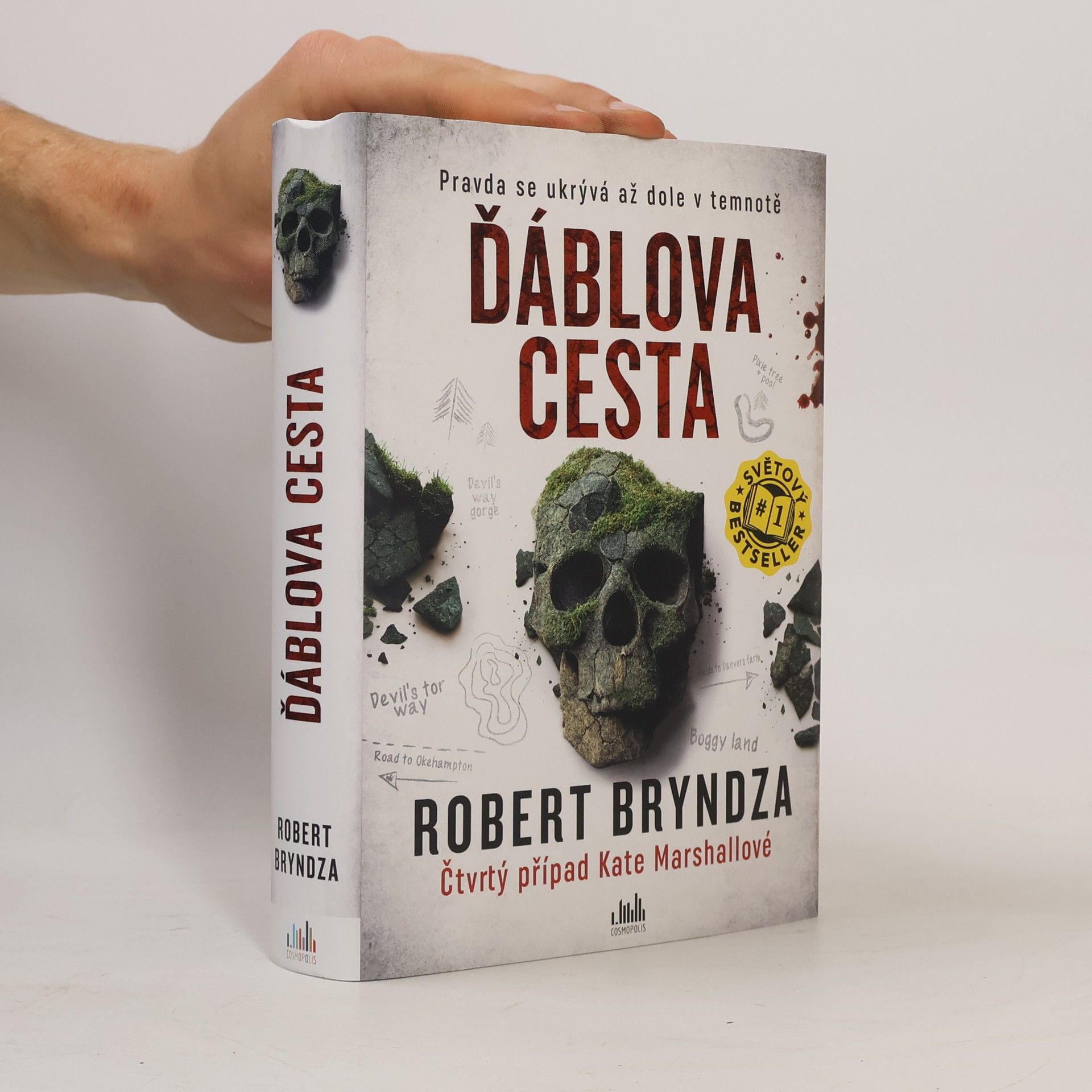 Robert Bryndza Ďáblova cesta