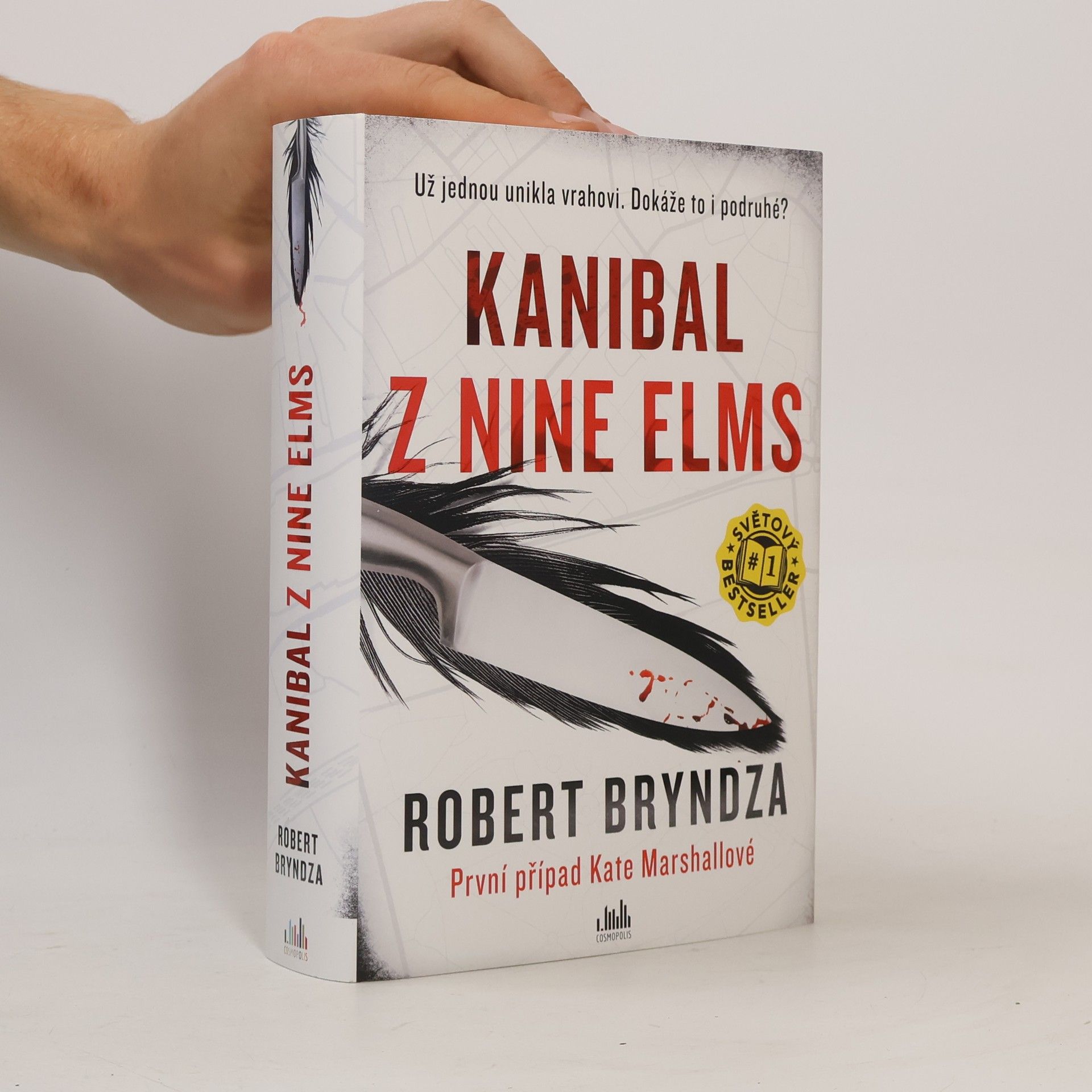 Robert Bryndza Kanibal z Nine Elms