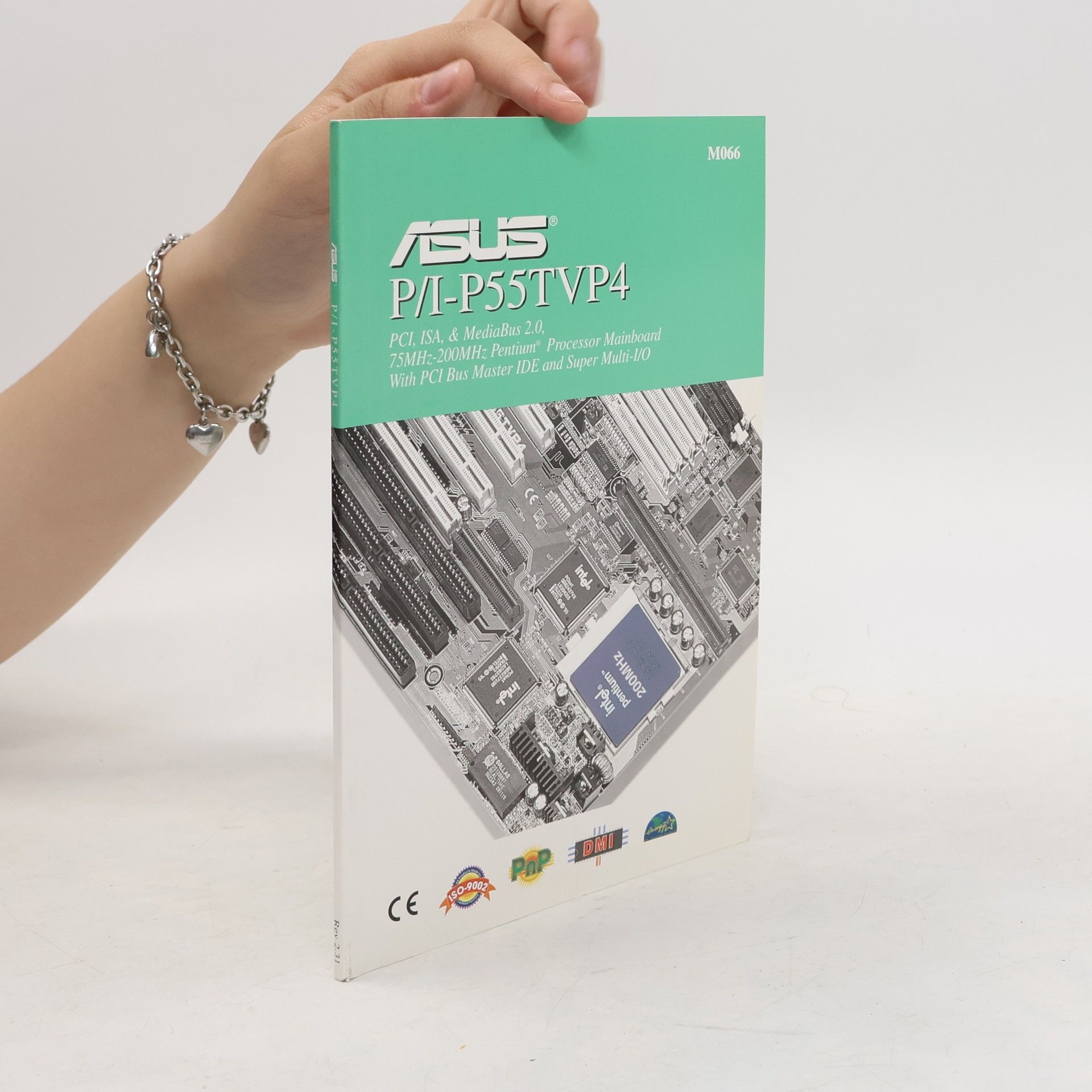 Autorenkollektiv  ASUS P/I-P55TVP4
