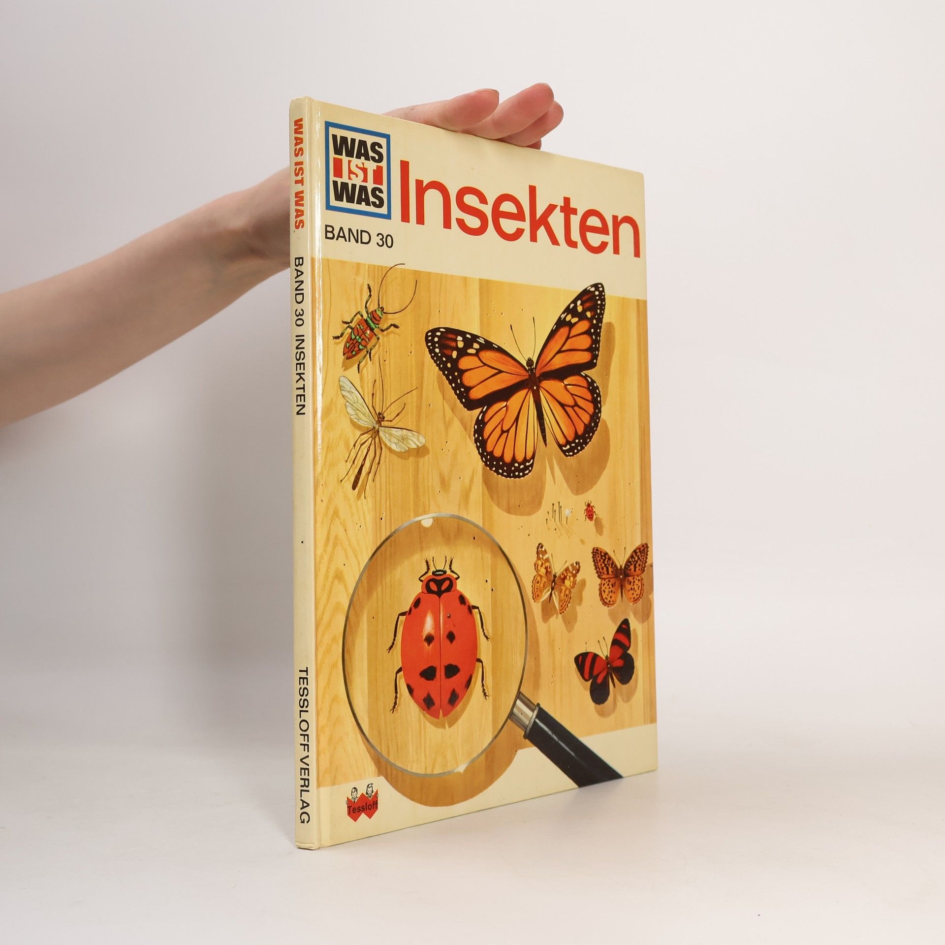 Sabine Steghaus Kovac Insekten
