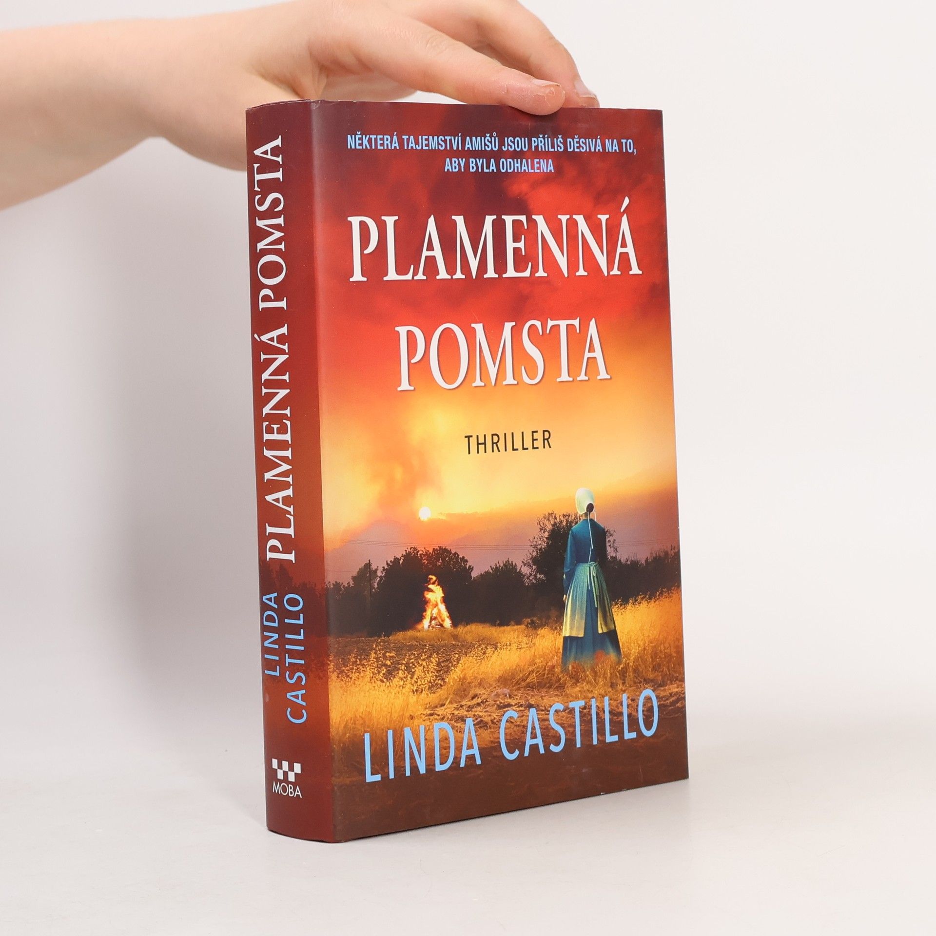 Linda Castillo Plamenná pomsta
