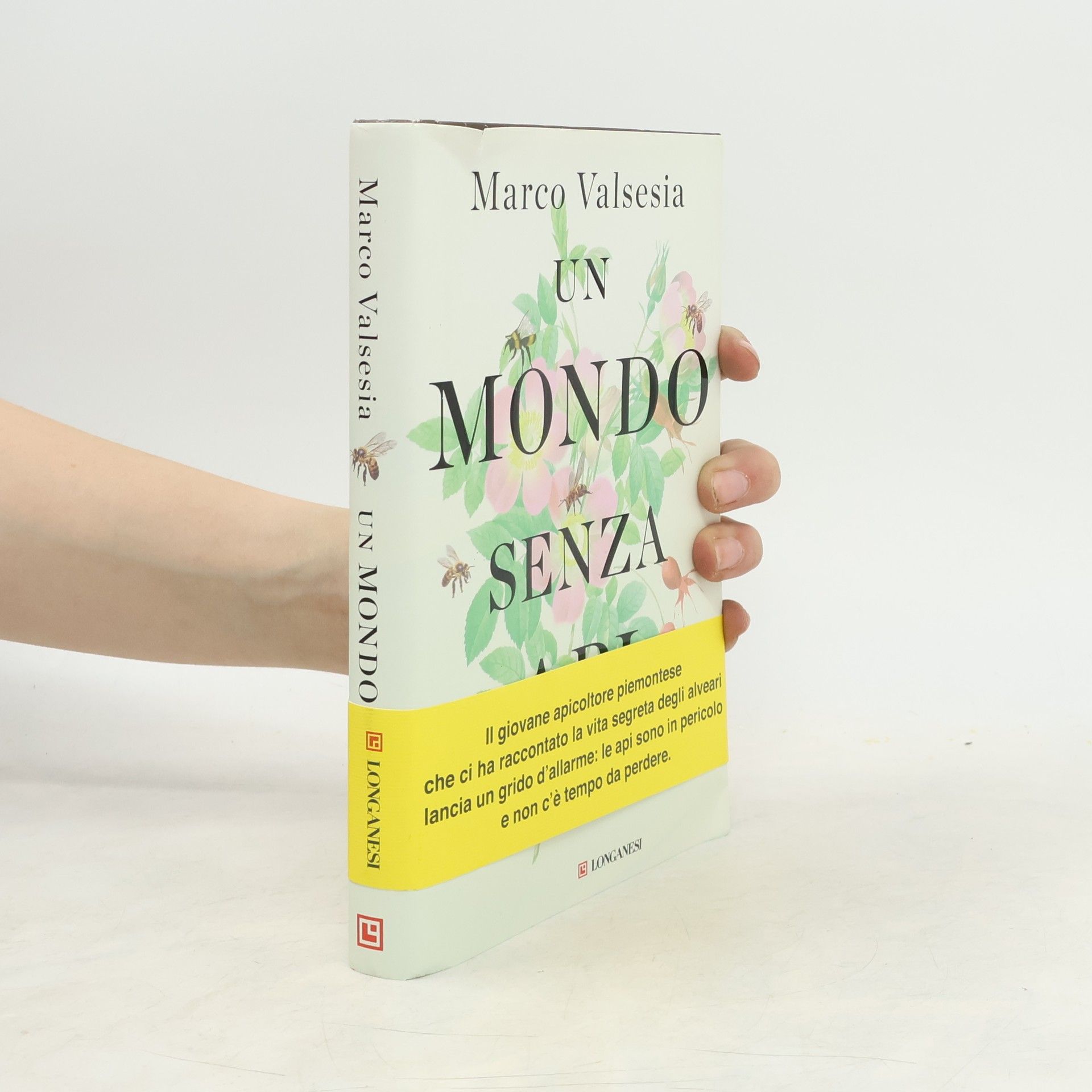 Marco Valsesia  Un mondo senza api
