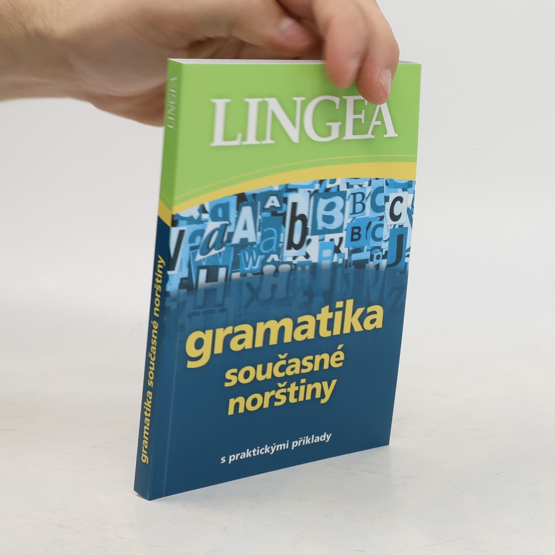 Kolektiv autorů Gramatika současné norštiny