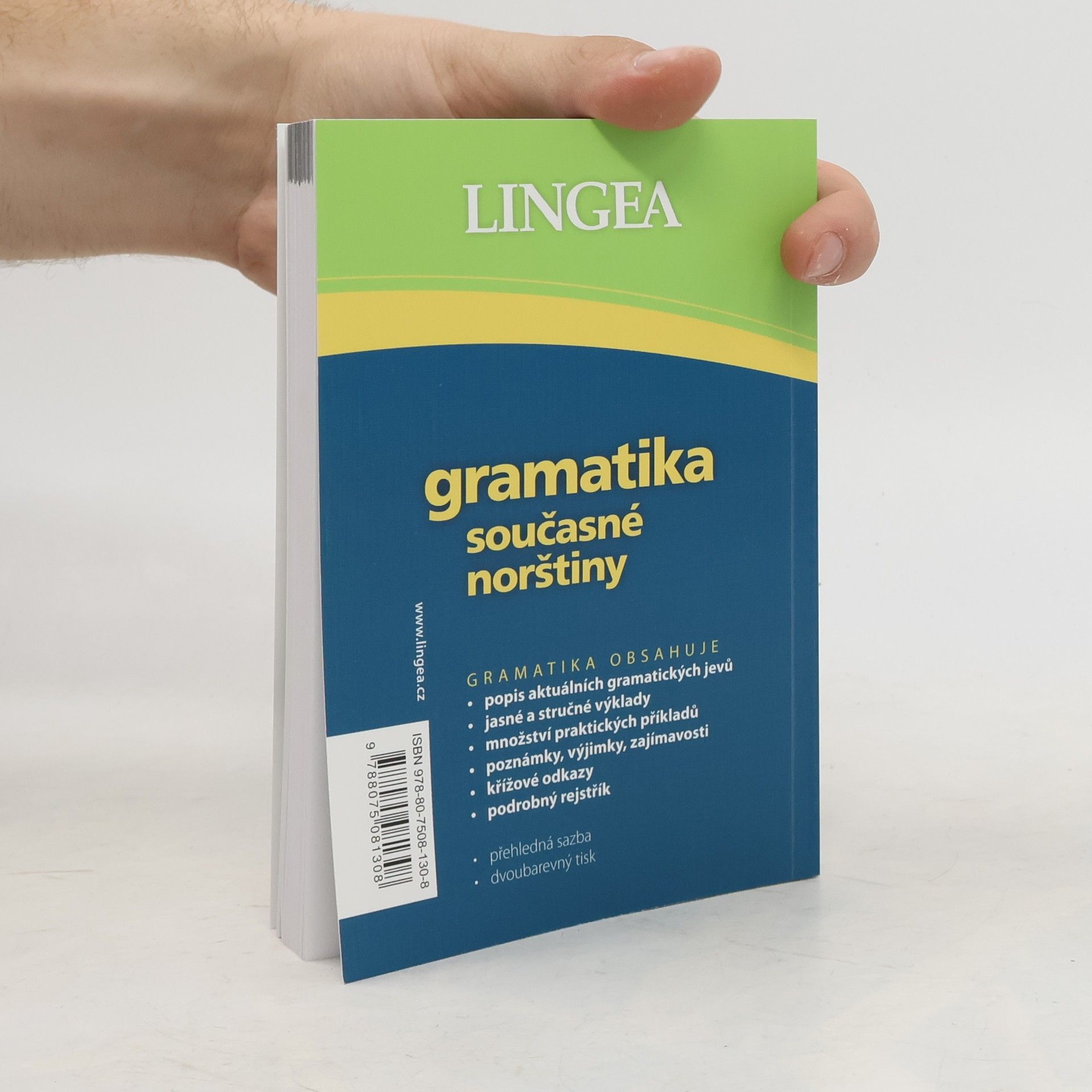 Kolektív autorov Gramatika současné norštiny