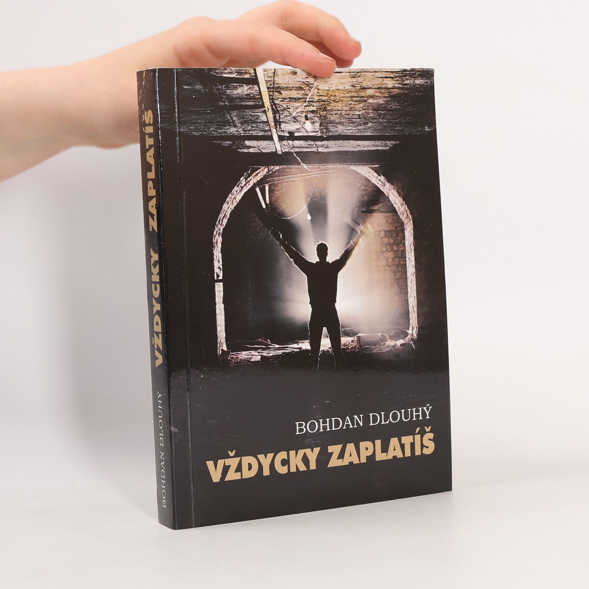 Bohdan Dlouhý Vždycky zaplatíš