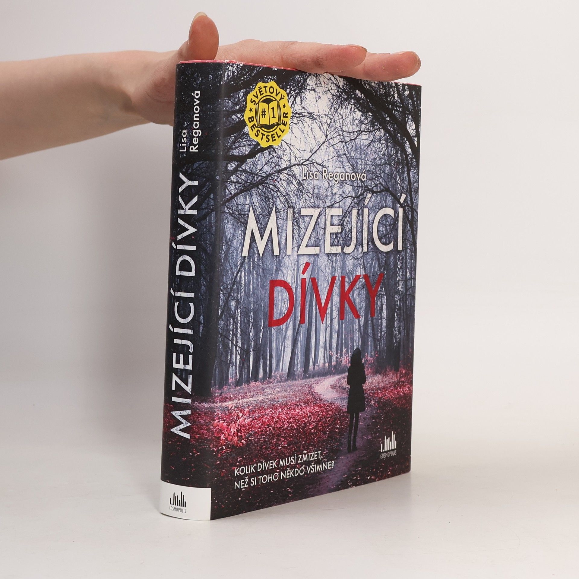 Lisa Regan Mizející dívky