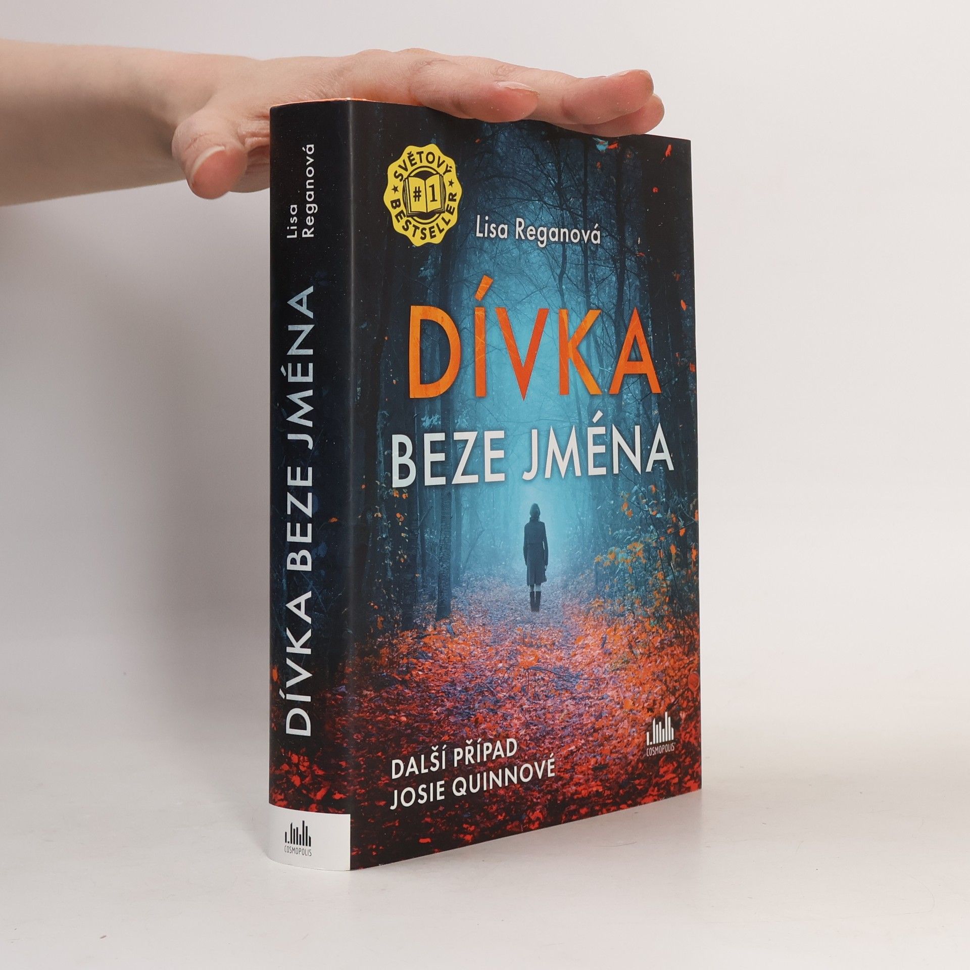 Lisa Regan Dívka beze jména: Další případ Josie Quinnové