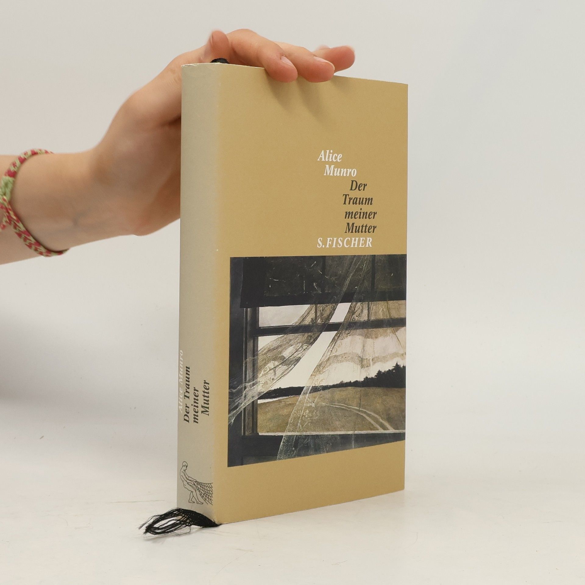 Alice Munro Der Traum meiner Mutter