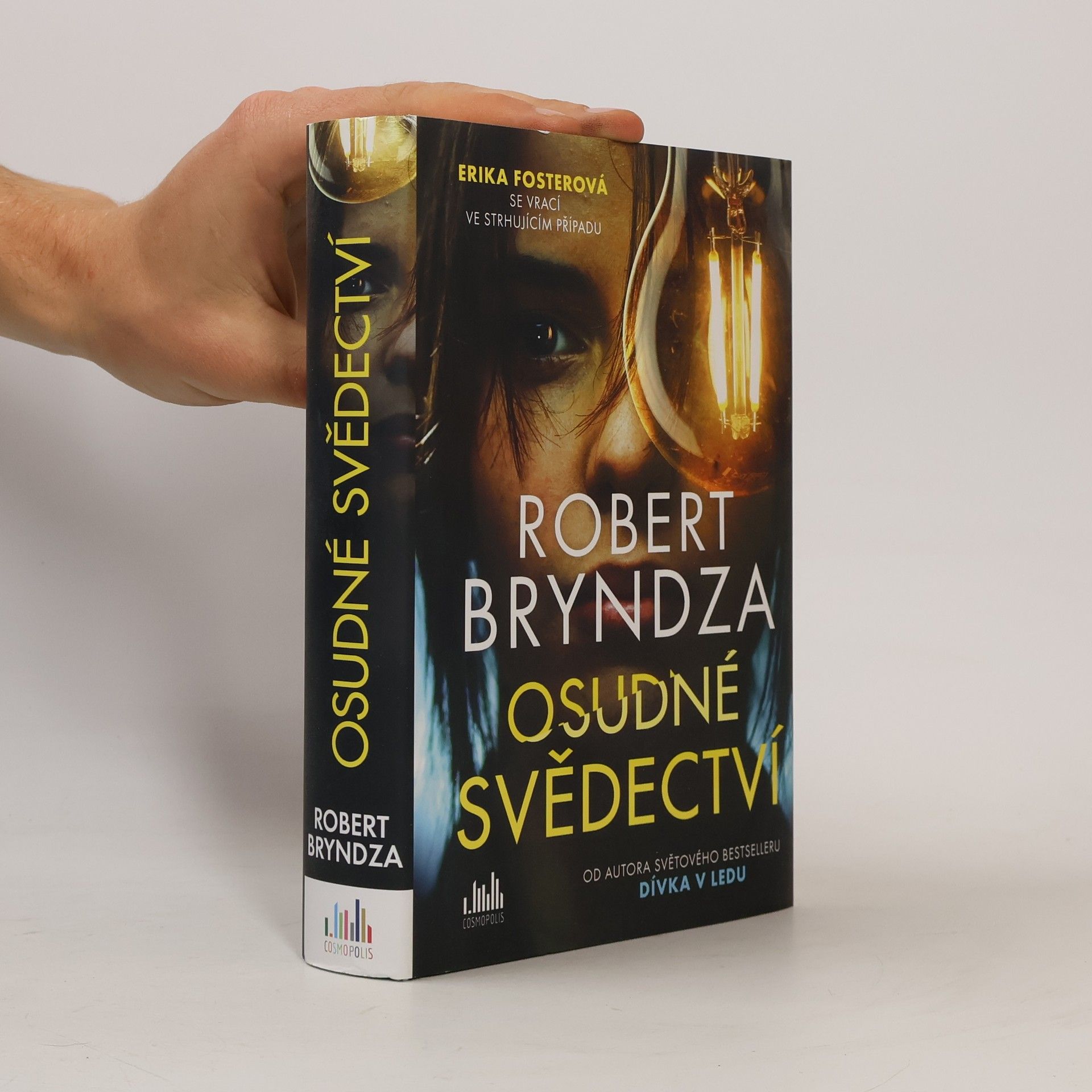 Robert Bryndza Osudné svědectví