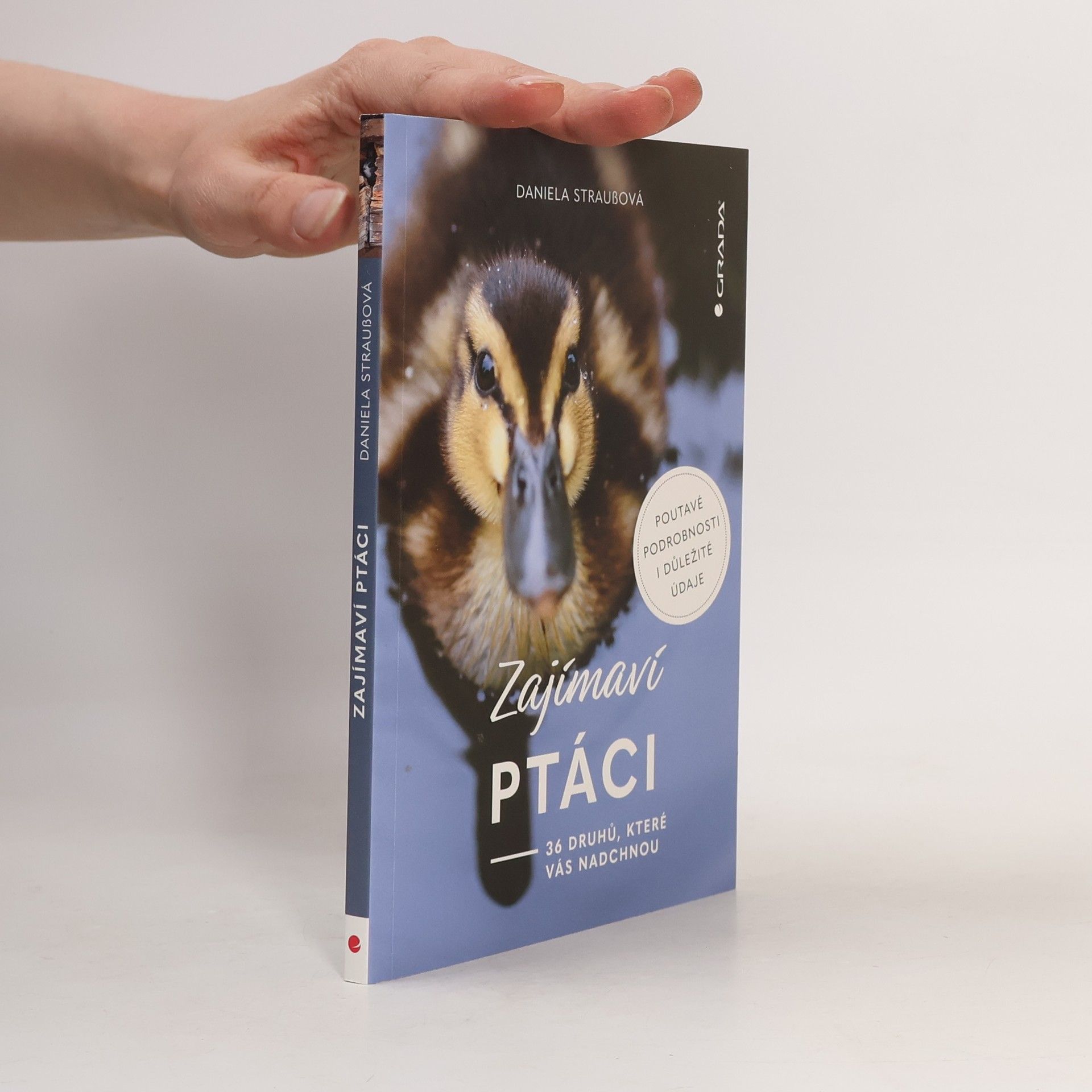 Daniela Strauß Zajímaví ptáci: 36 druhů, které vás nadchnou