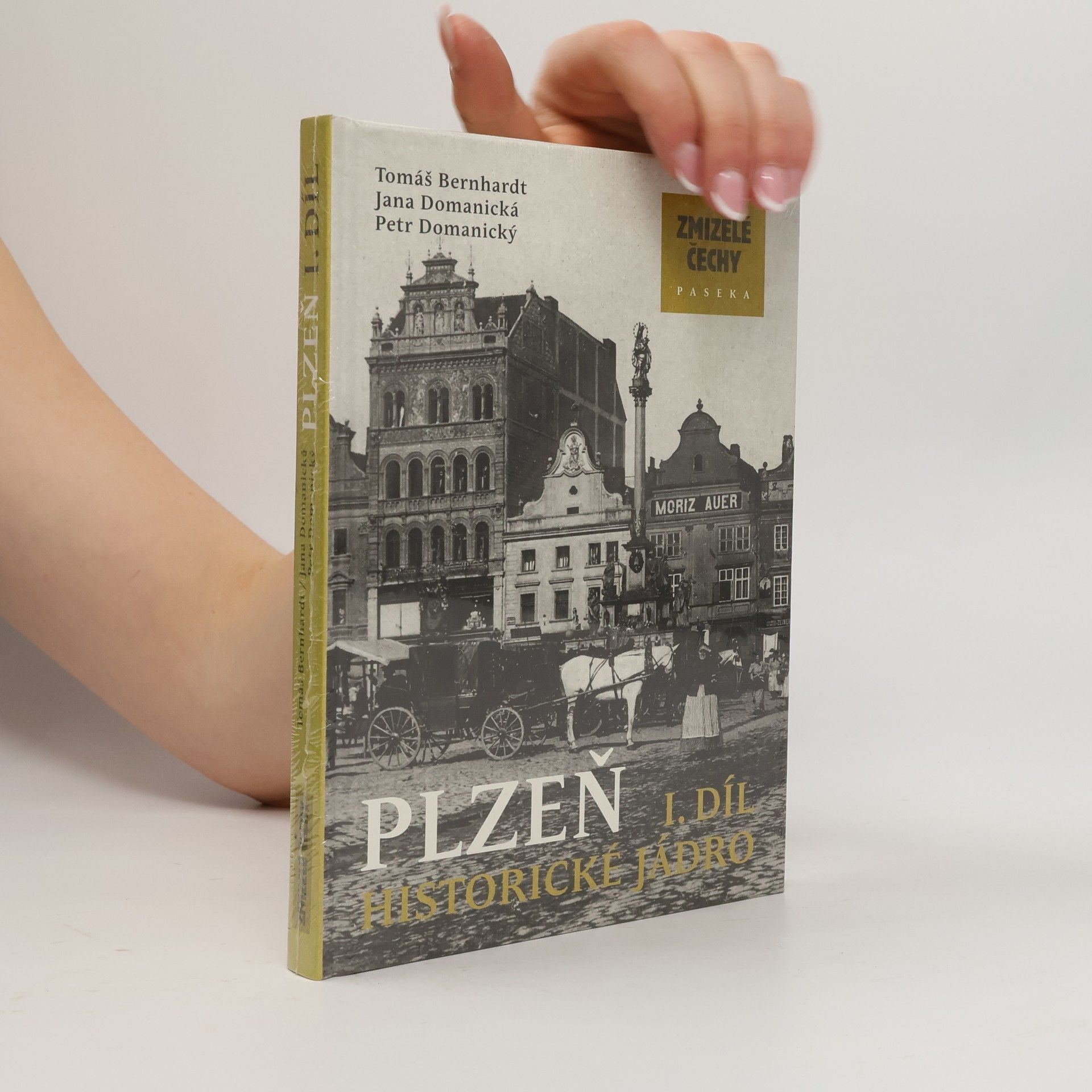 Jana Domanická Plzeň I: Historické jádro