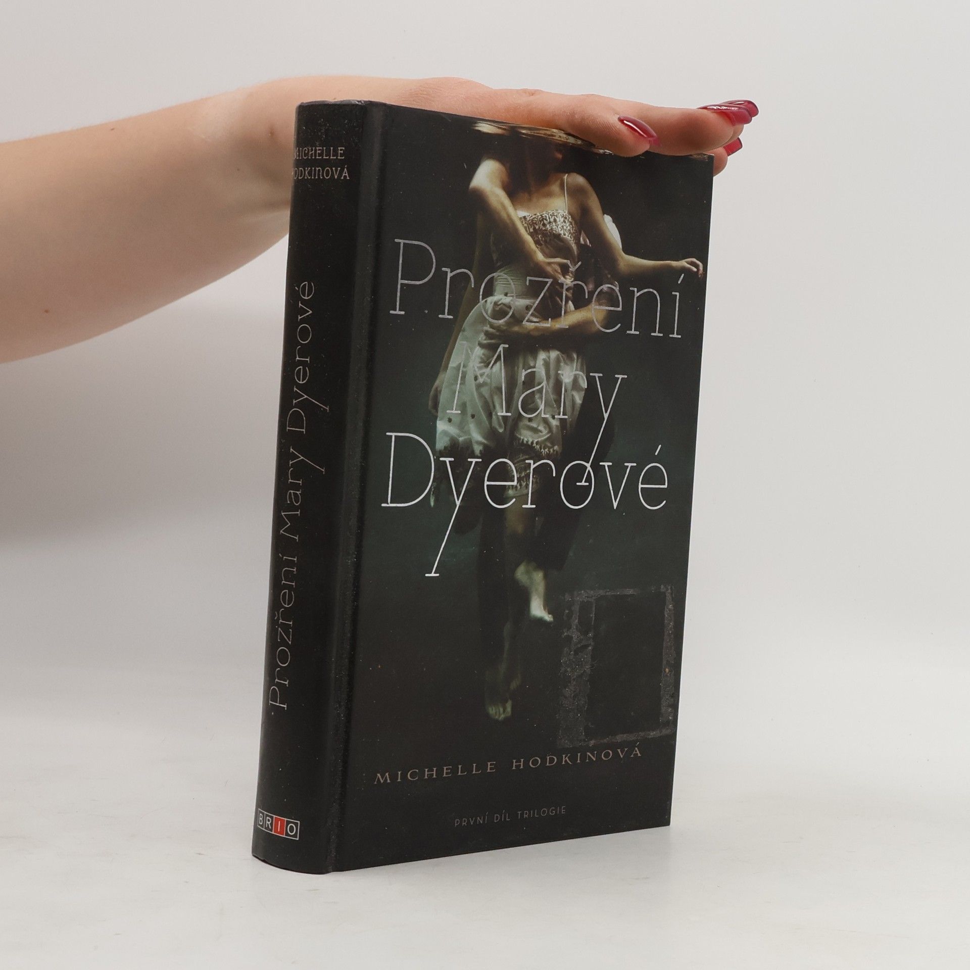 Michelle Hodkin Prozření Mary Dyerové