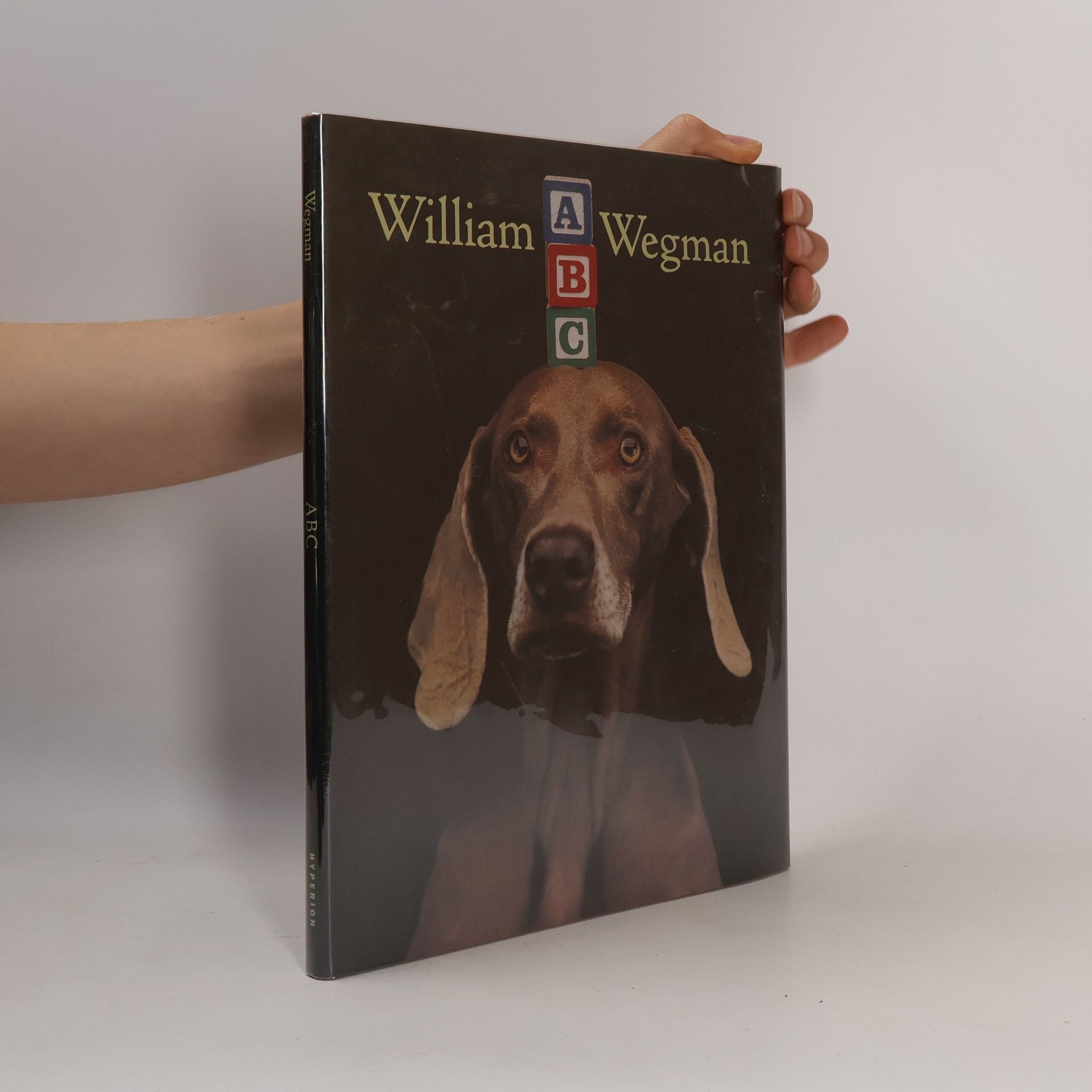William Wegman ABC