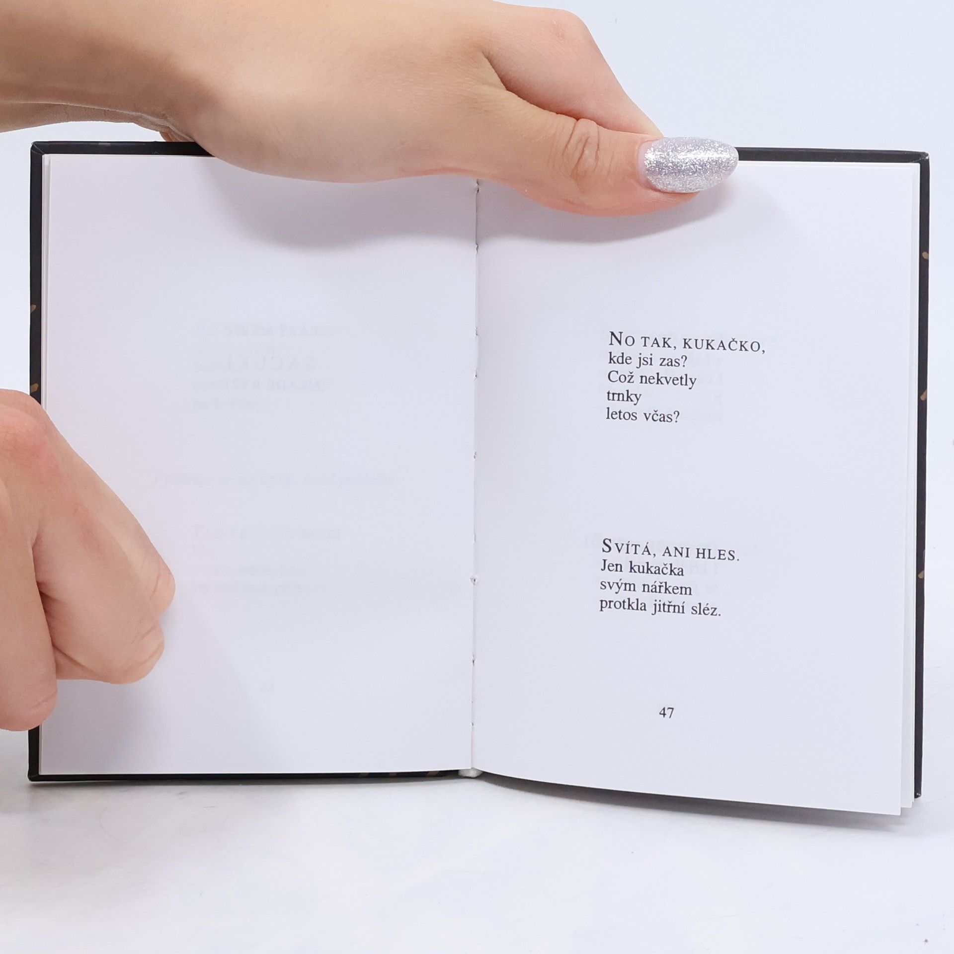 Matsuo Bashō Měsíce, květy: Výbor z básní haiku